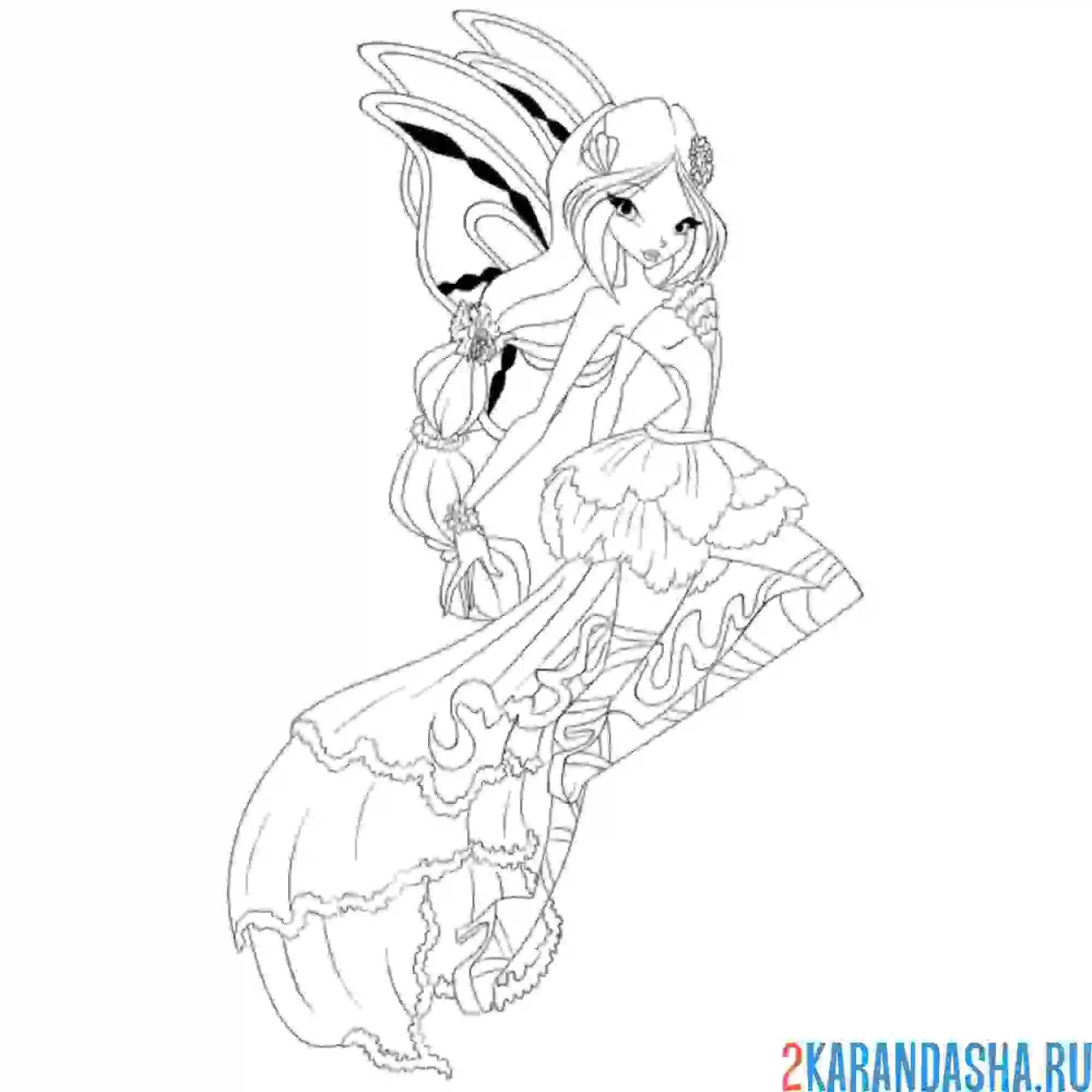 Раскраска флора гармоникс