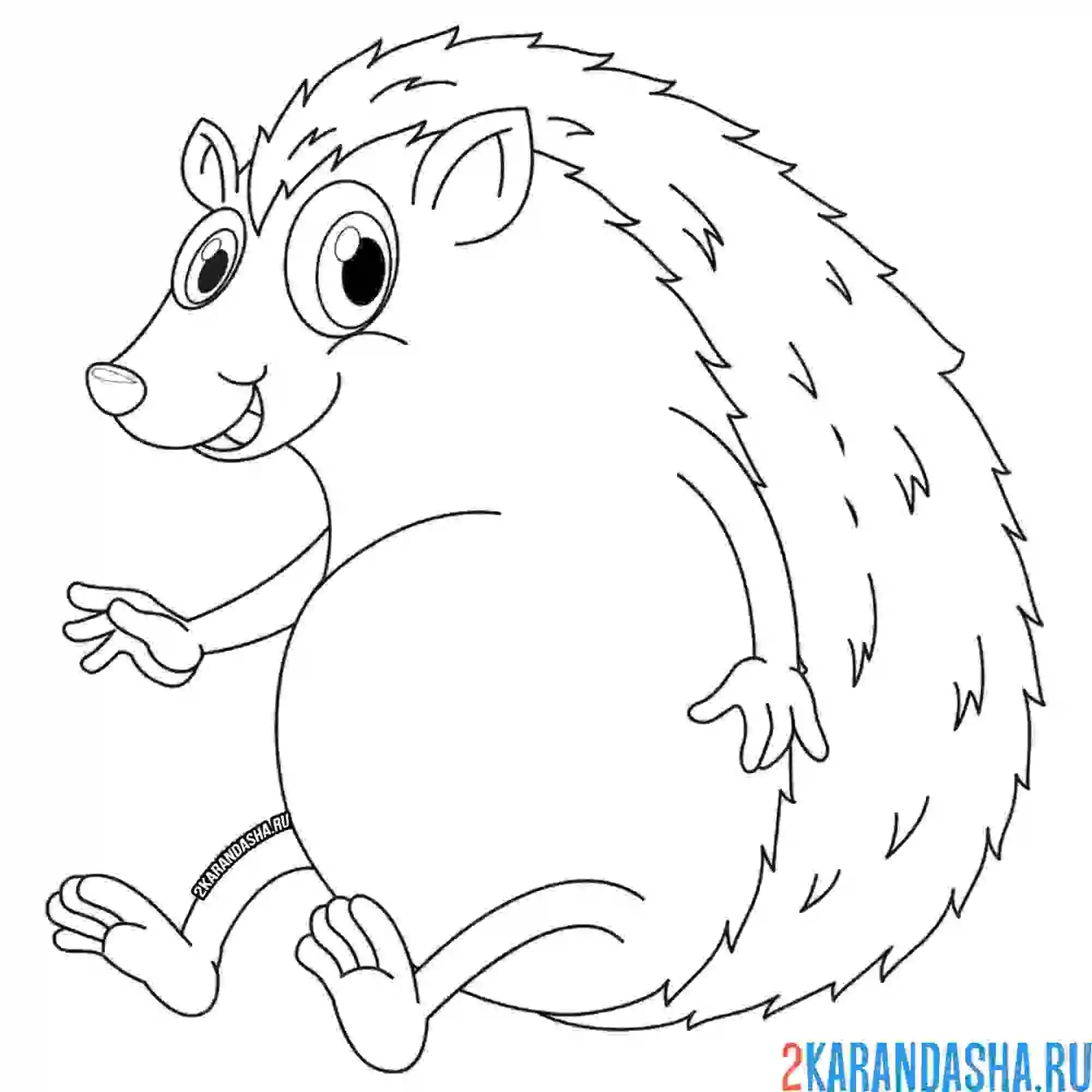 Раскраска пузатенький ежик