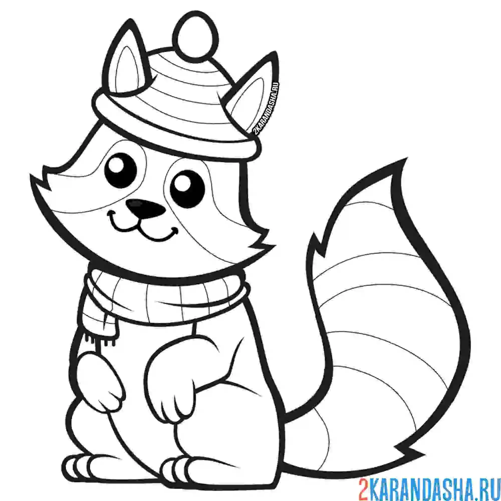 Раскраска забавный енот в шапке и шарфике