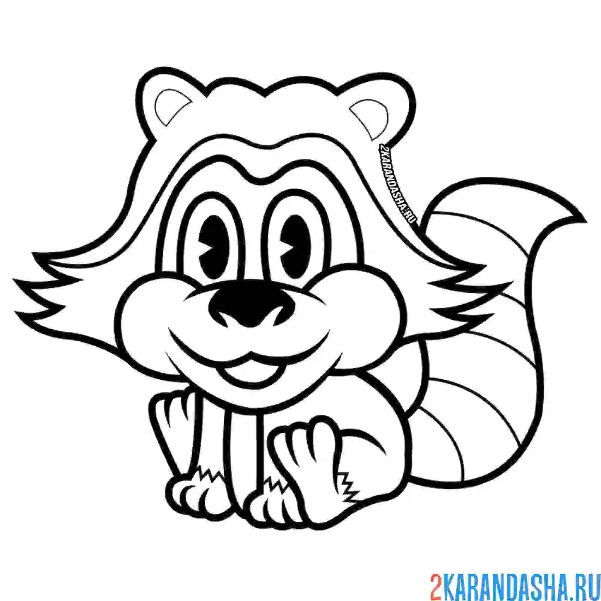 Раскраска хитрый енот