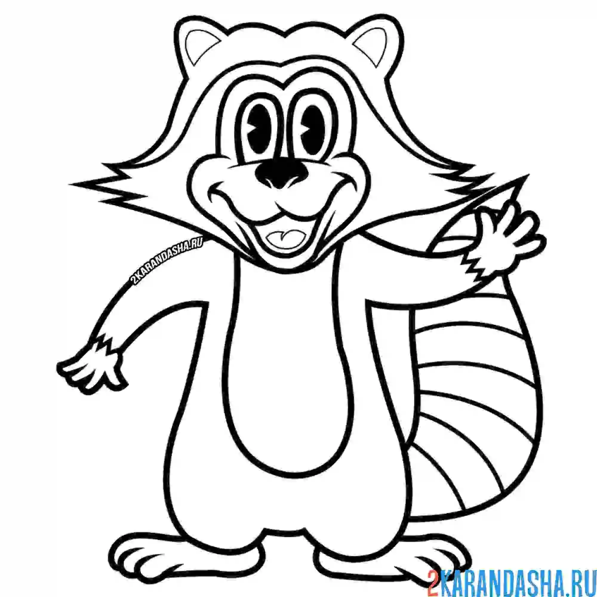 Раскраска енот здоровается