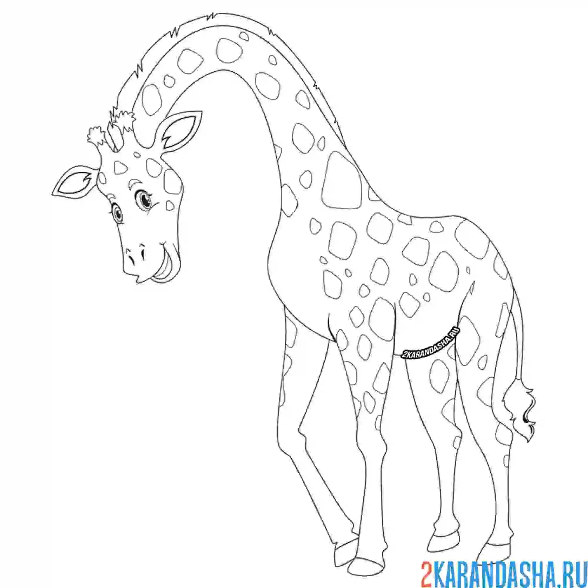 Раскраска жираф с длинной шеей