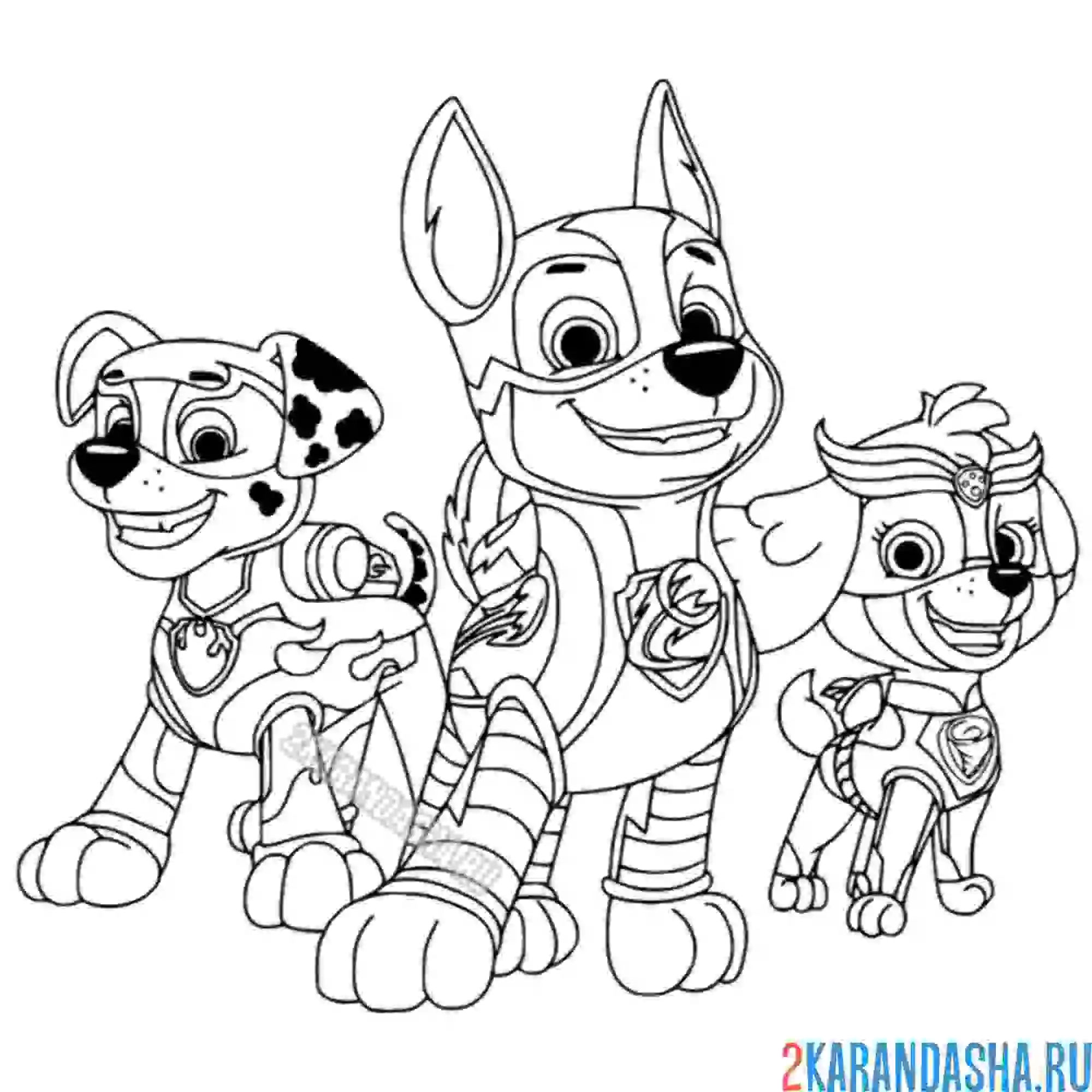 Раскраска мегащенки скай, гонщик и маршал