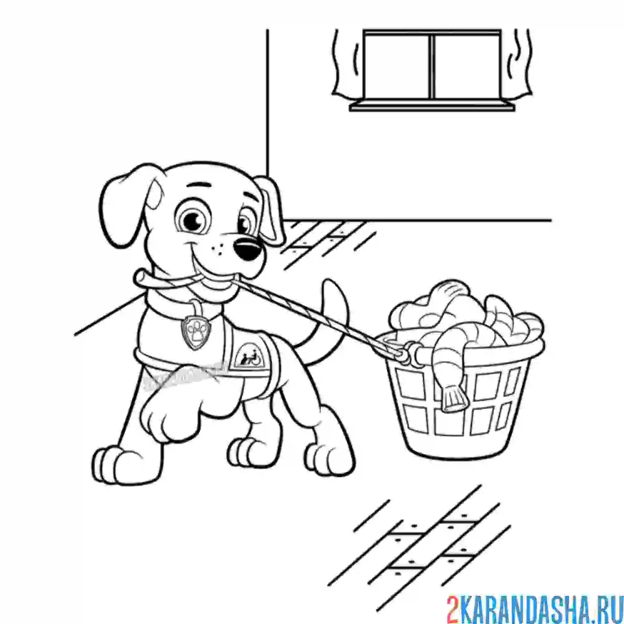 Раскраска щенок ассистент помогает со стиркой