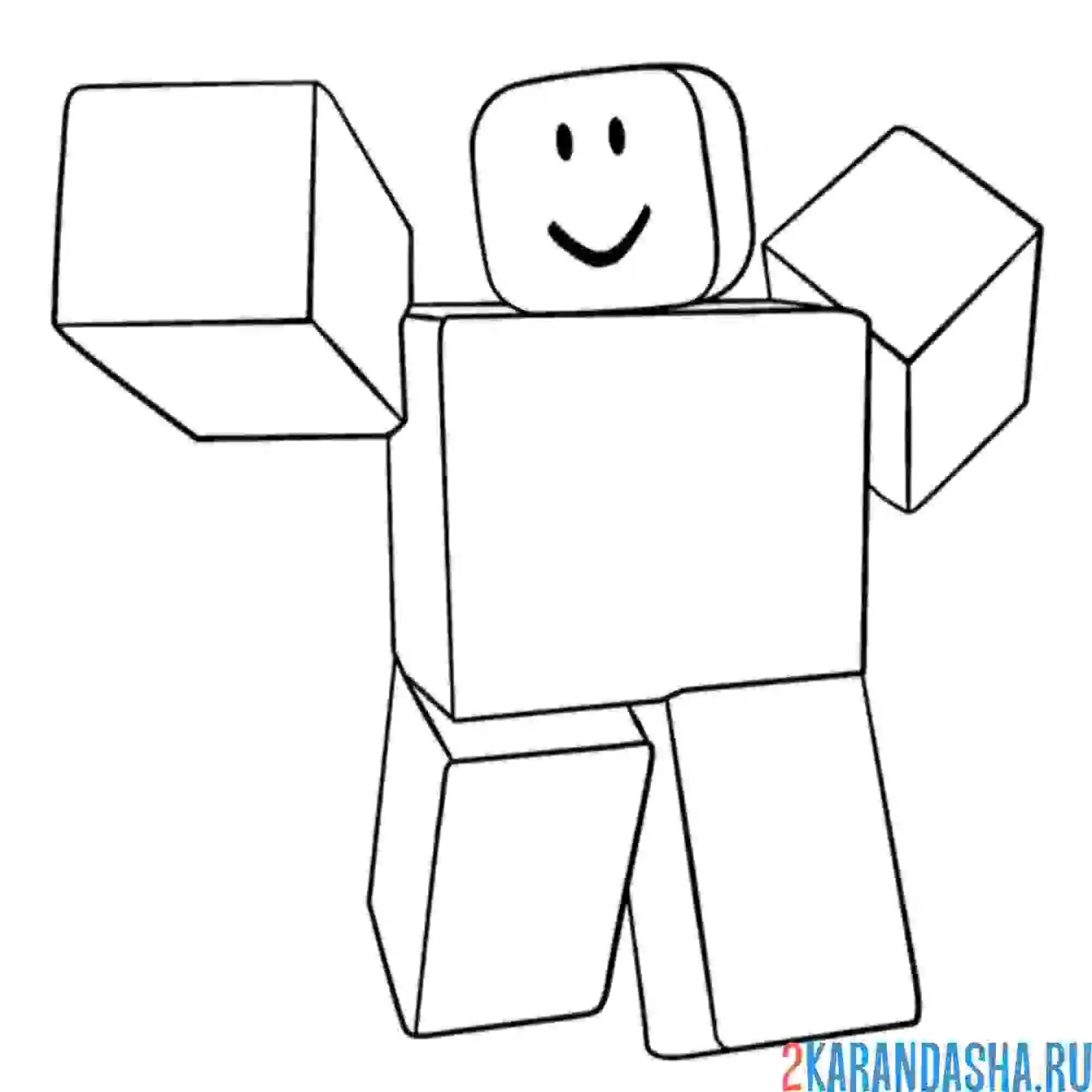 Раскраска новичок