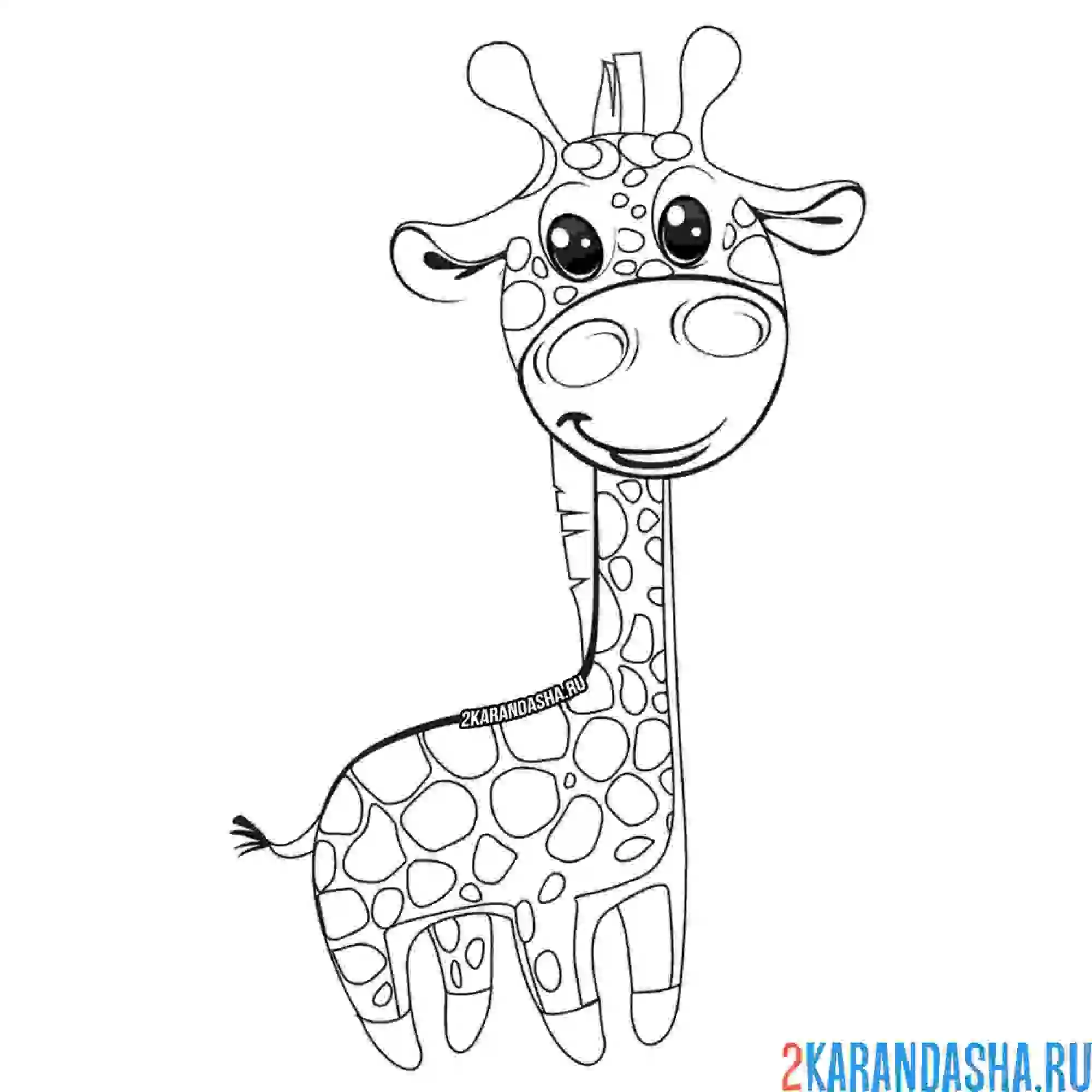 Раскраска жираф с большими глазами