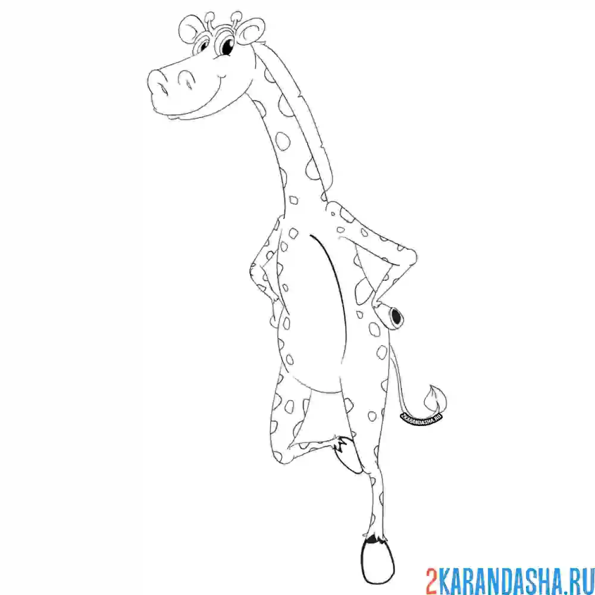Раскраска танцующий жираф