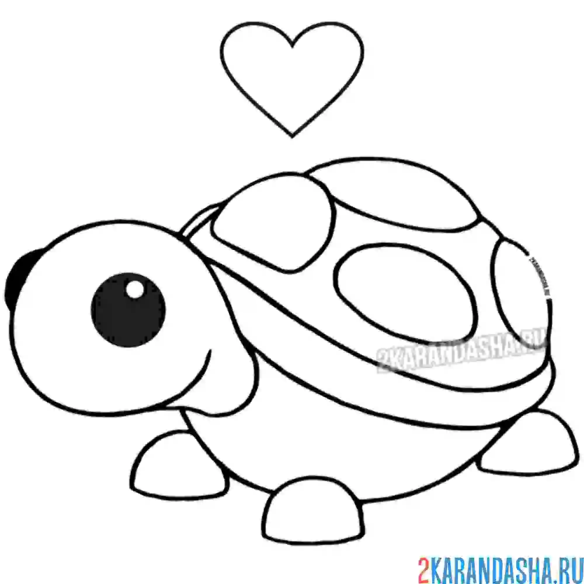 Раскраска адопт ми пет черепаха