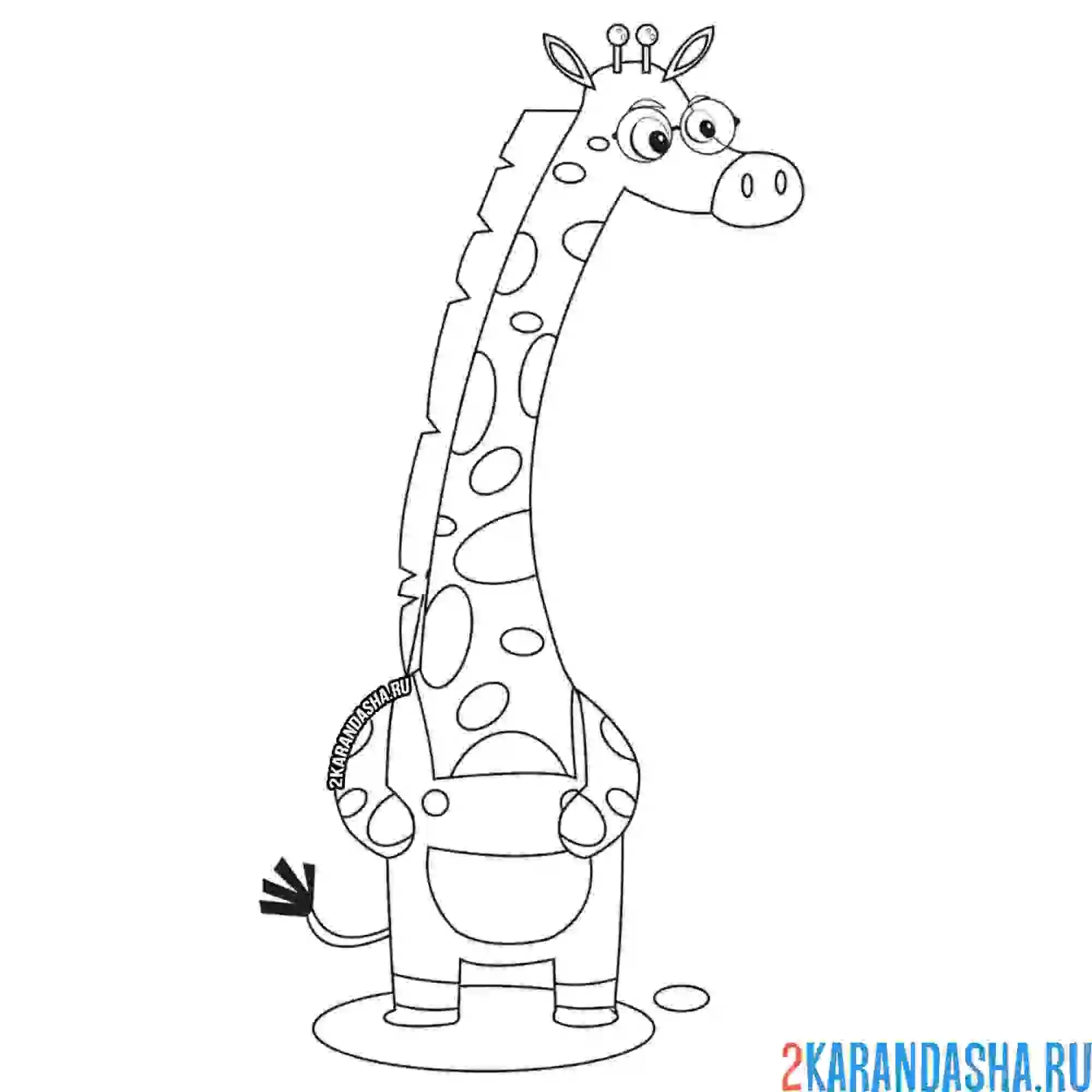 Раскраска жираф отличник