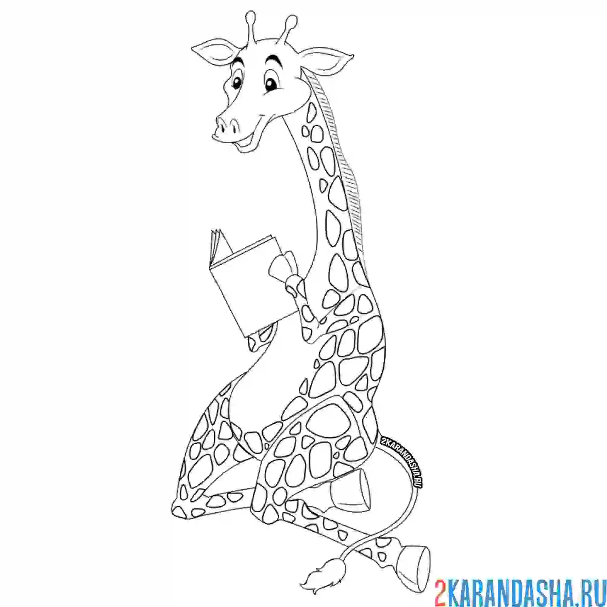 Раскраска жираф читает книгу