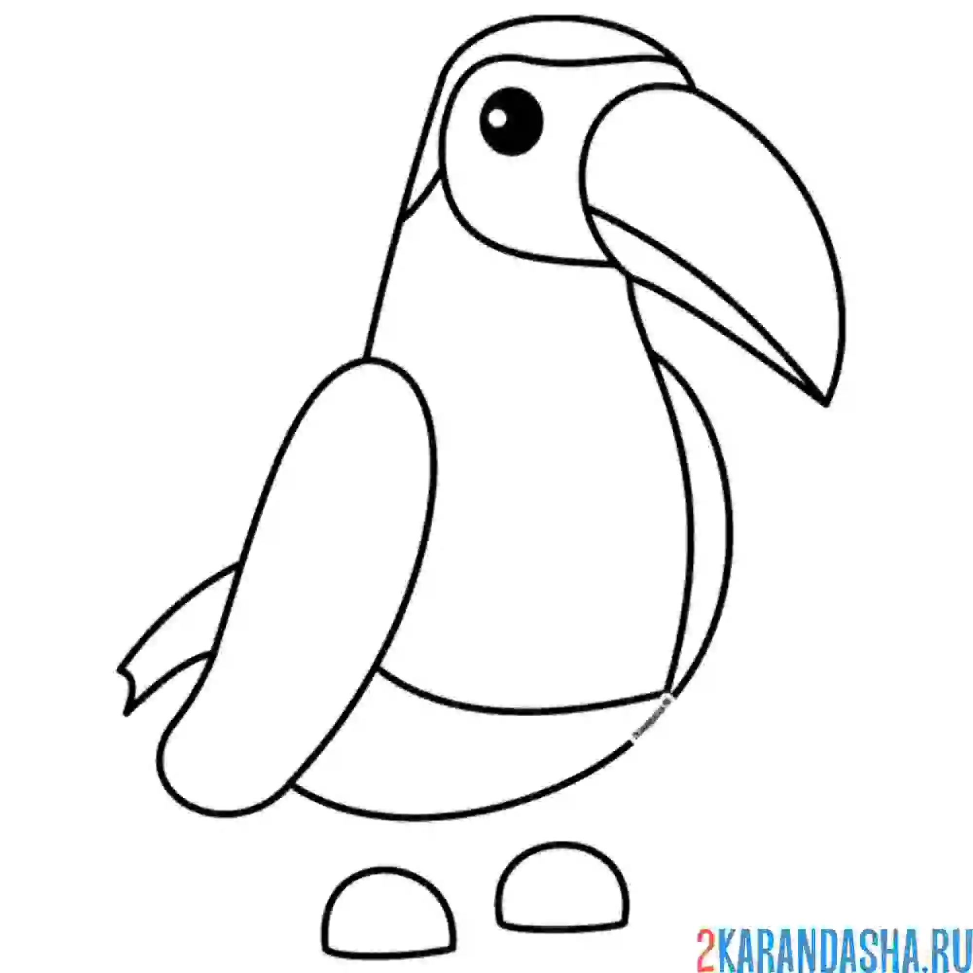 Раскраска адопт ми пет птица тукан