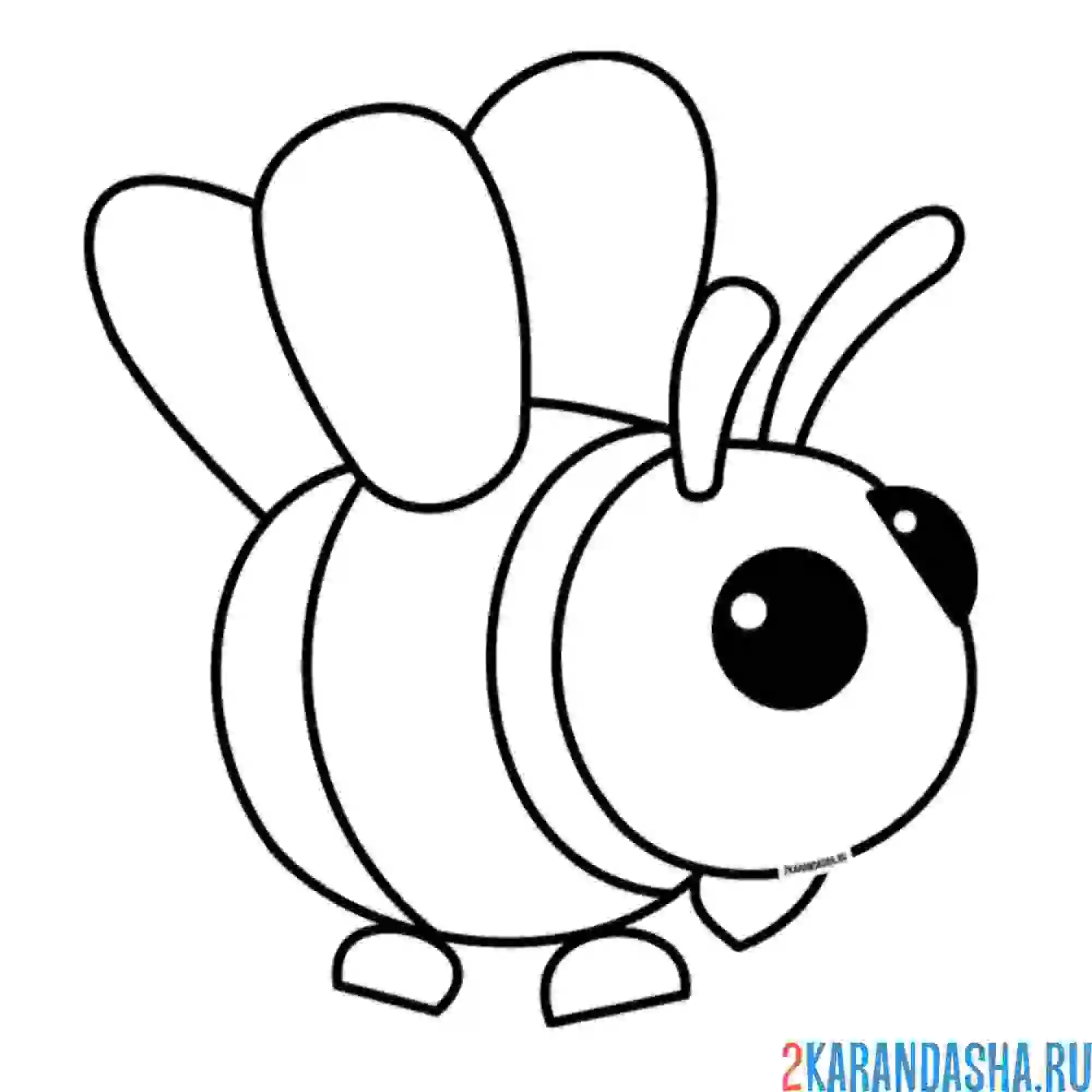 Раскраска адопт ми пет пчела