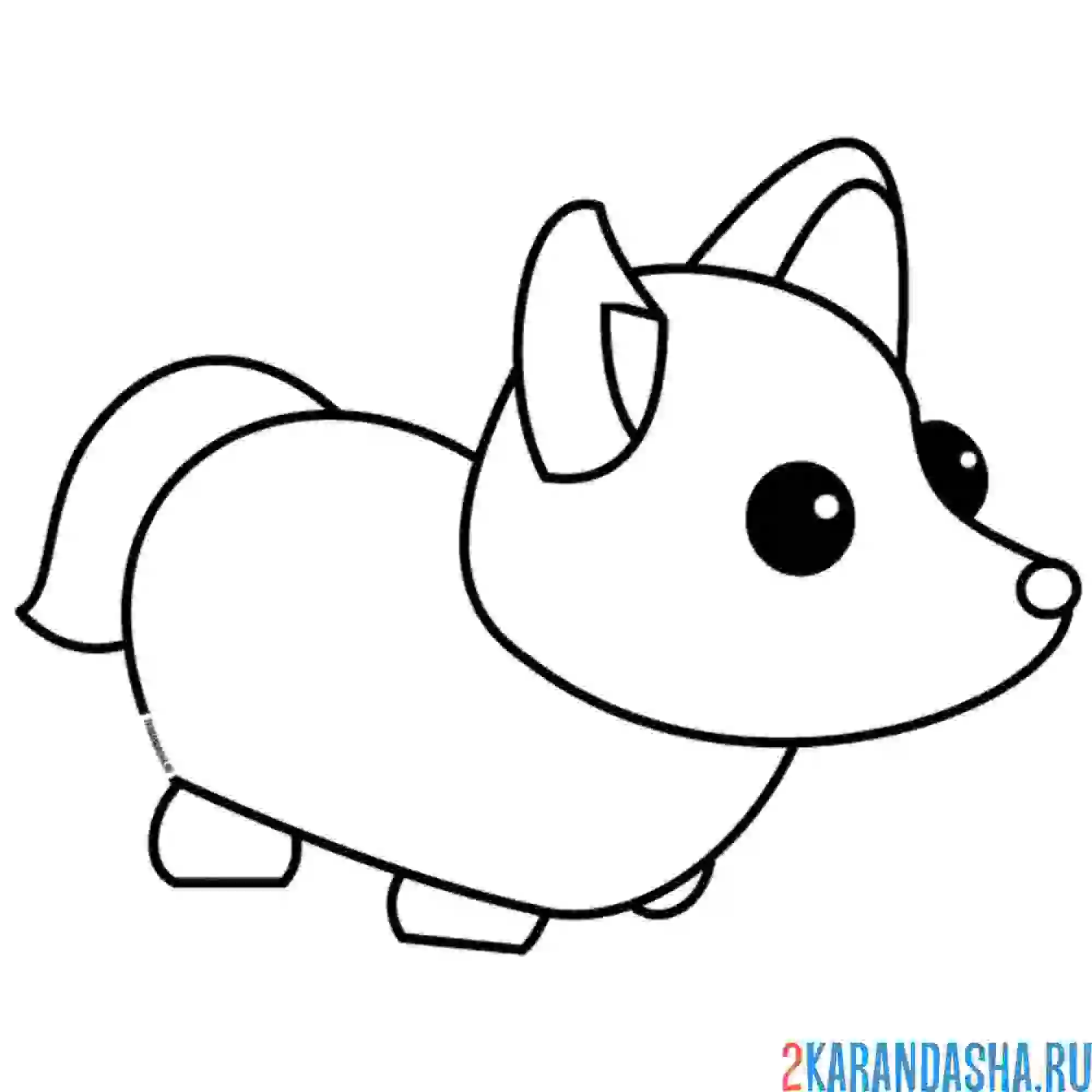 Раскраска арктическая лиса