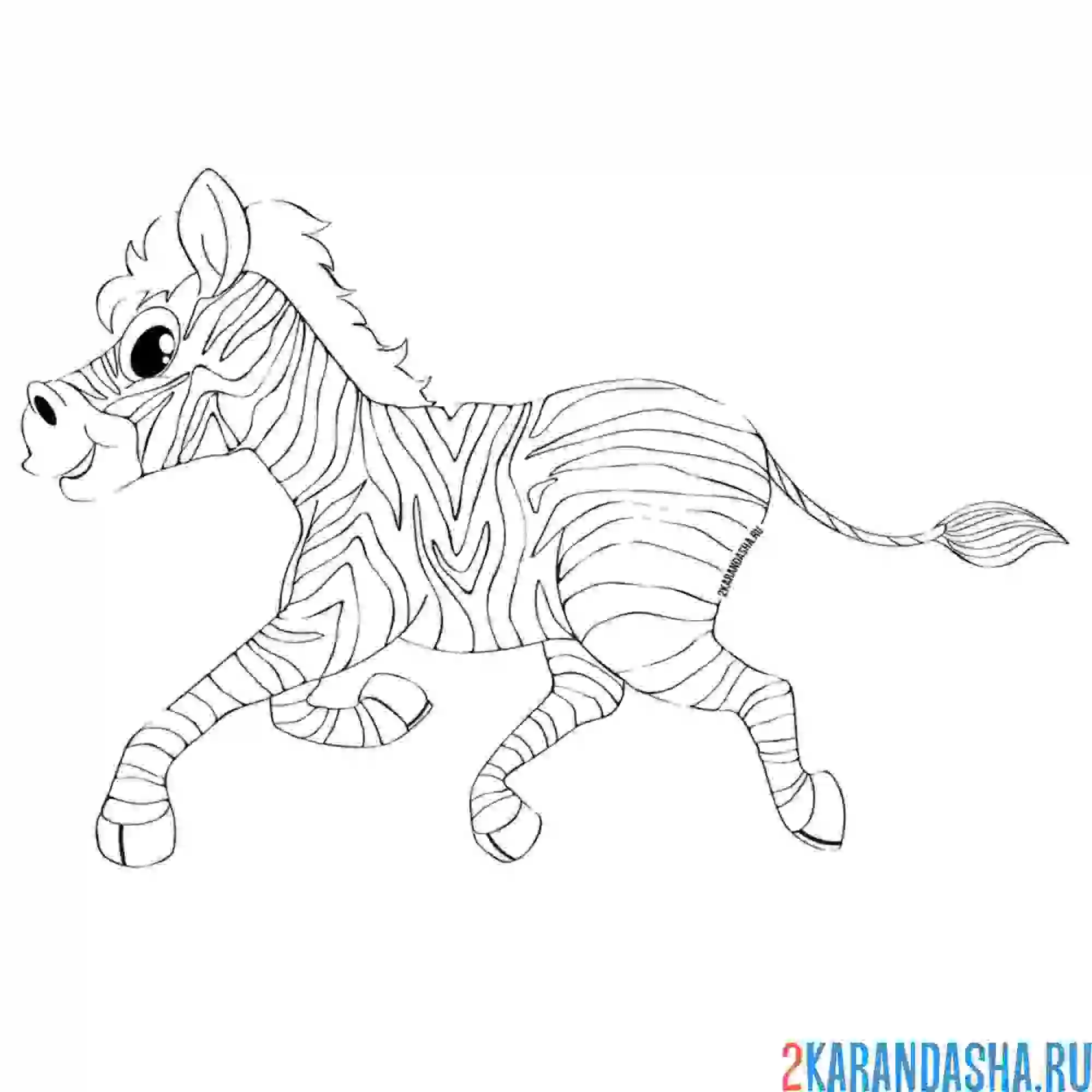 Раскраска скачущая зебра