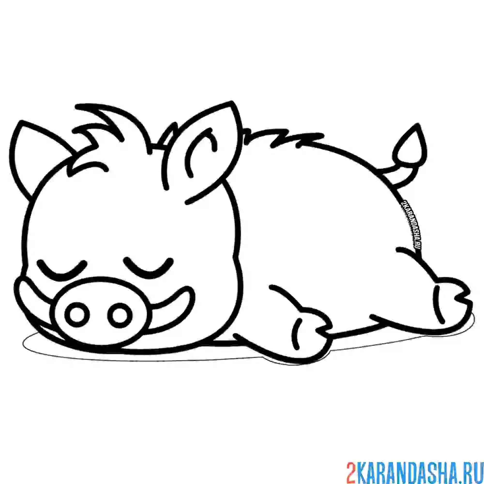 Раскраска маленький кабан спит