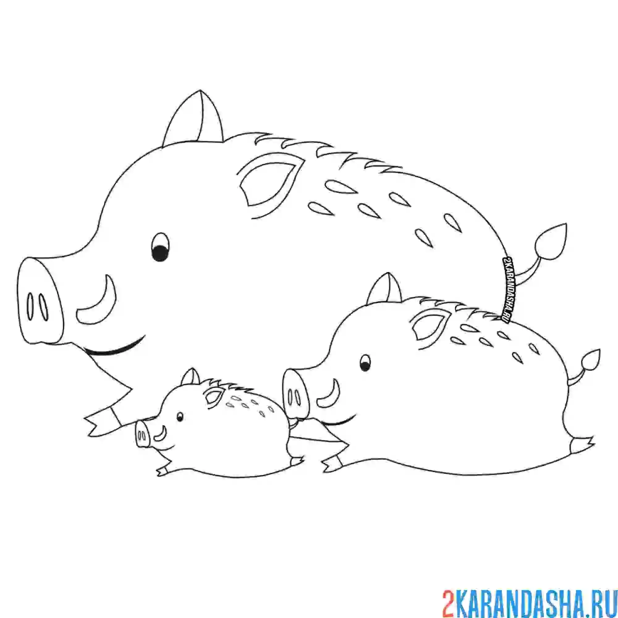 Раскраска кабан и два кабанчика