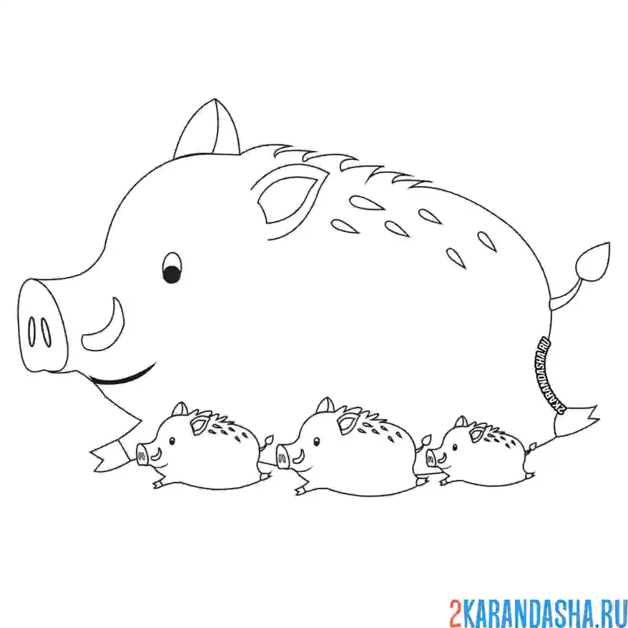 Раскраска папа кабан и три кабанчика
