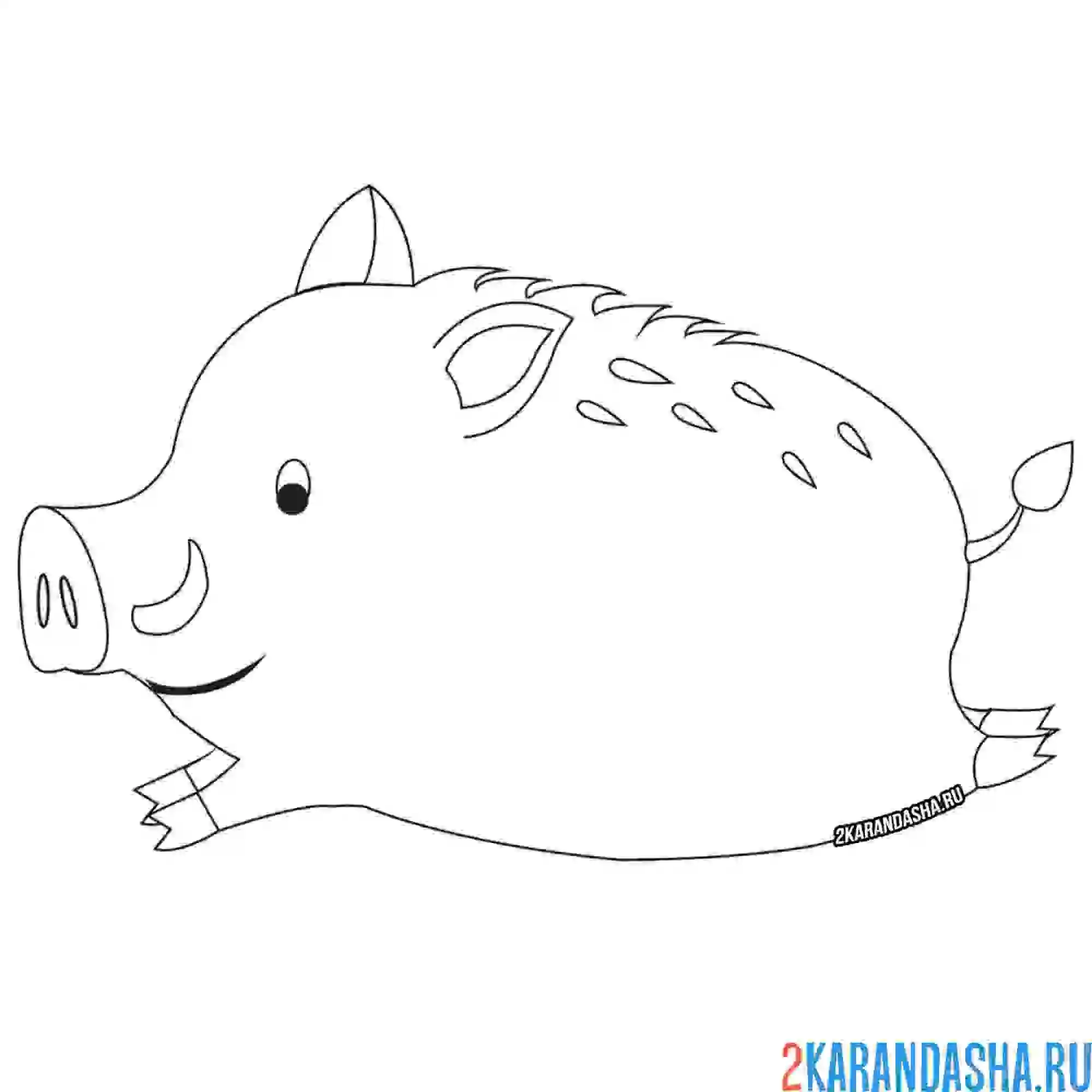Раскраска бегущий кабан
