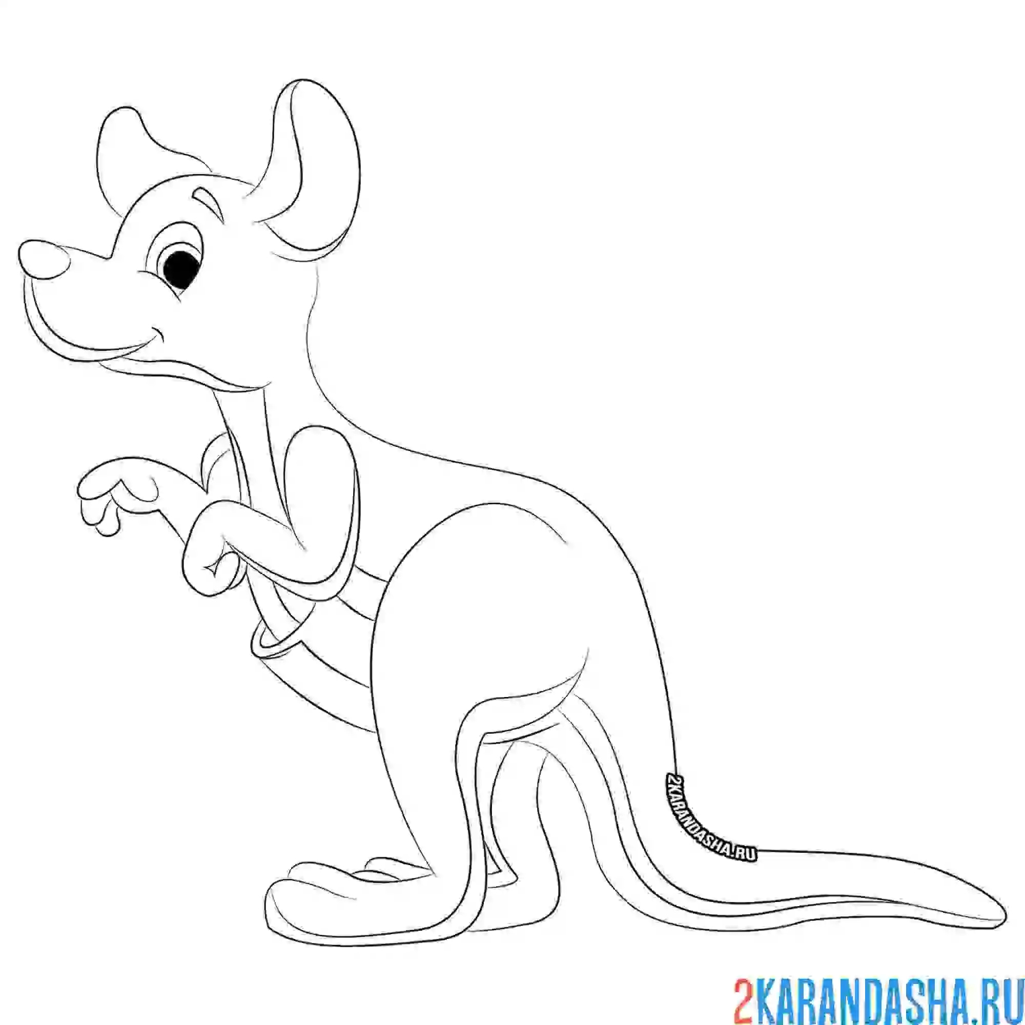 Раскраска милый кенгуру