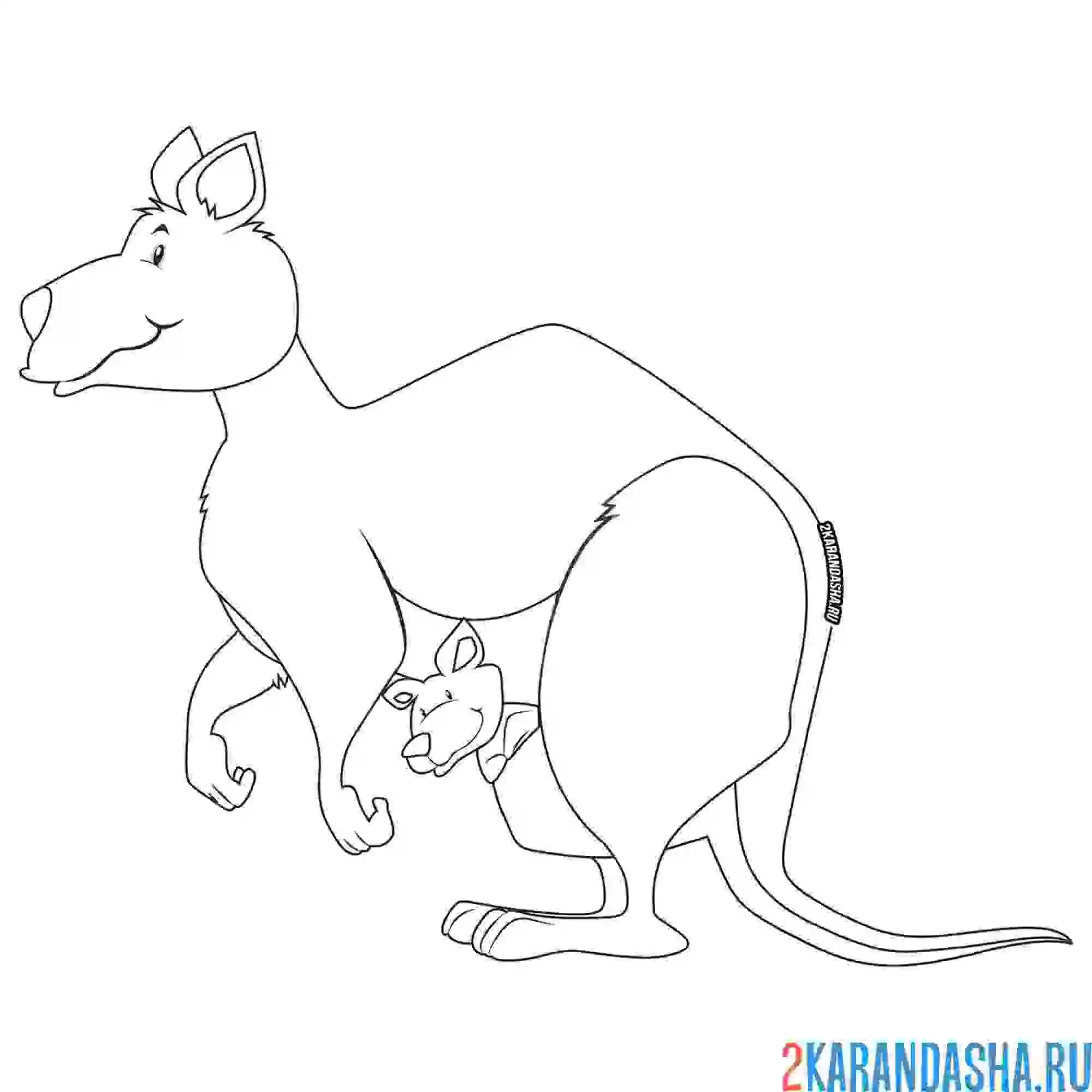 Раскраска кенгуру с кенгуренком в сумке