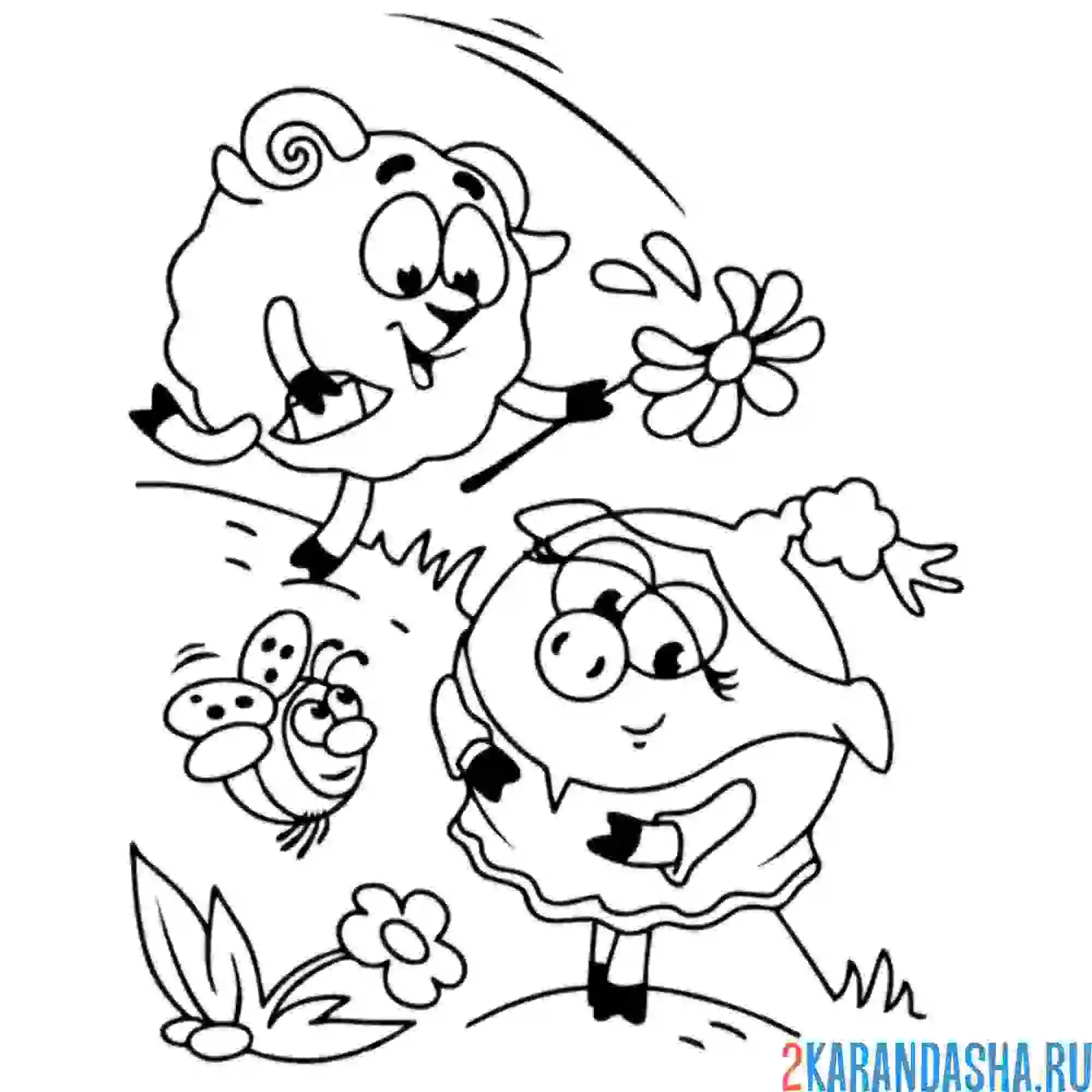 Раскраска бараш дарит нюше цветочек | смешарики