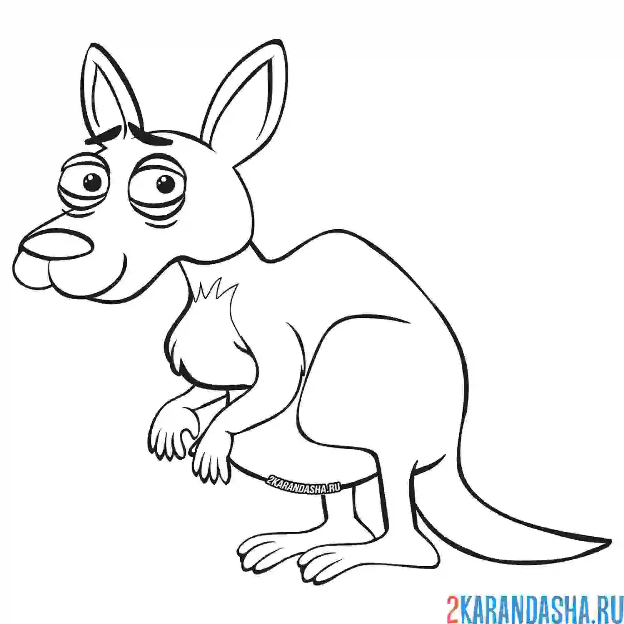 Раскраска кенгуру боится
