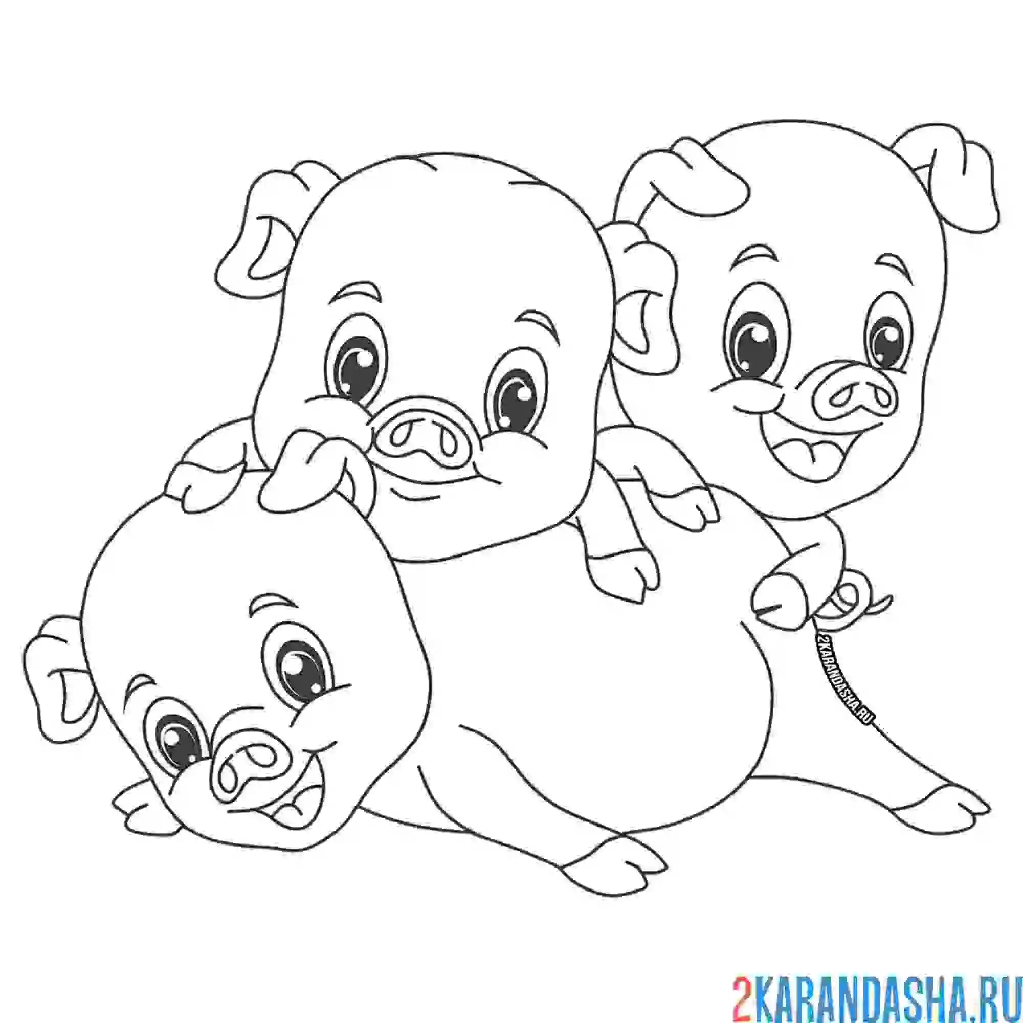 Раскраска три поросенка