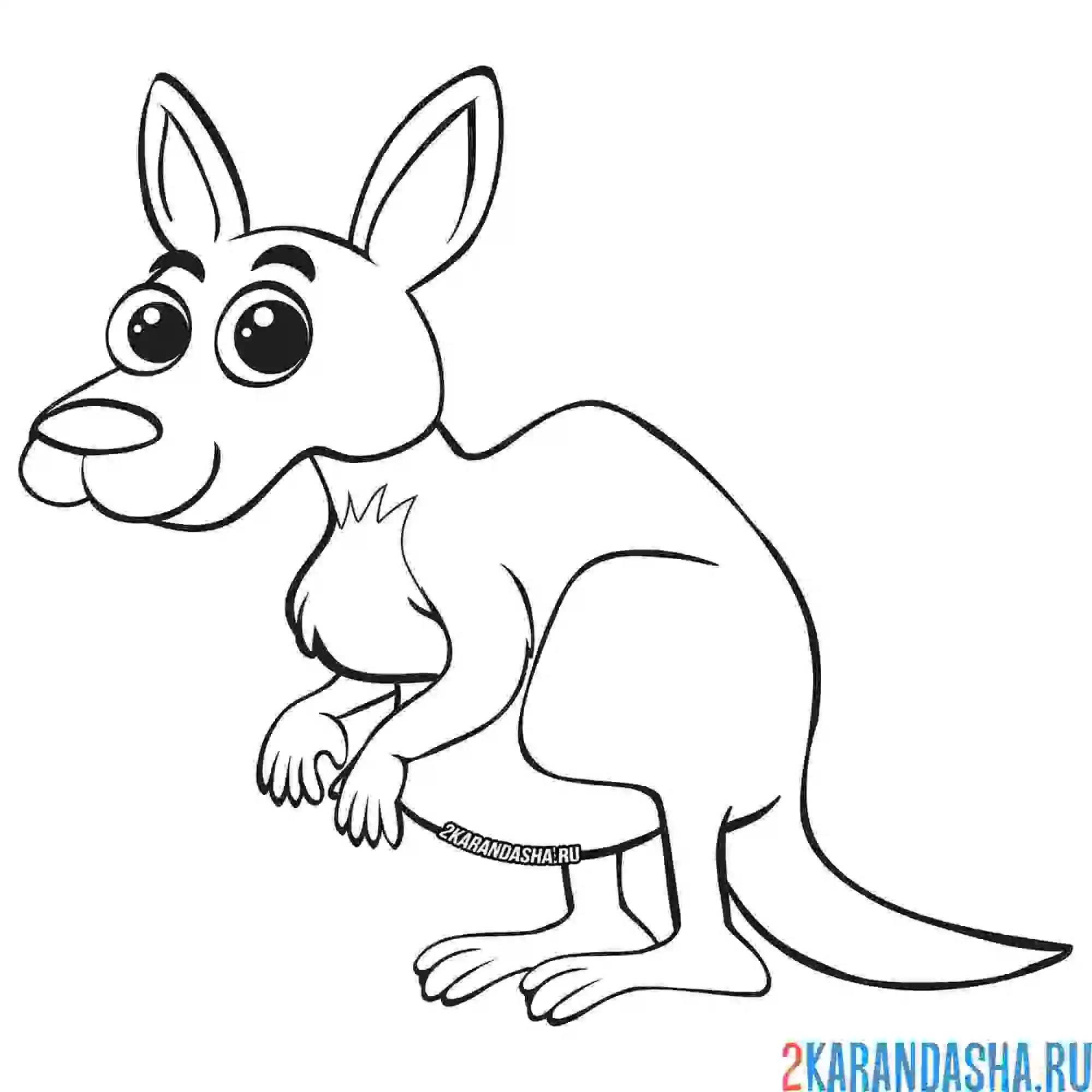 Раскраска счастливый кенгуру