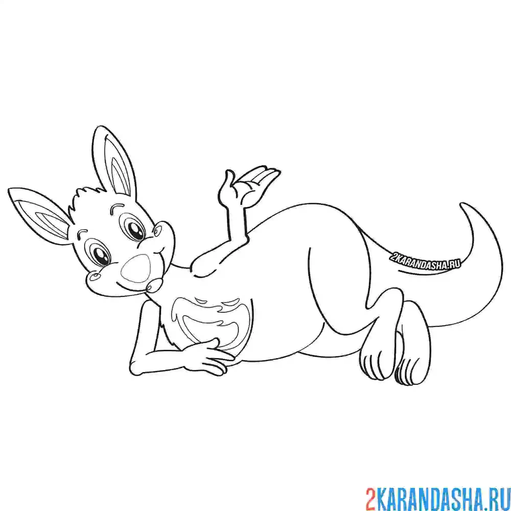 Раскраска кенгуру лежебока