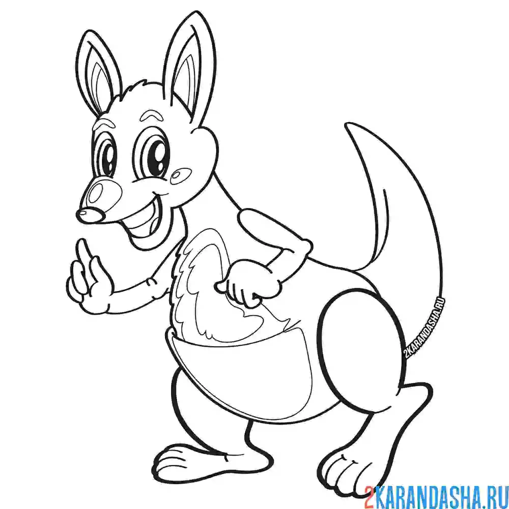 Раскраска внимательный кенгуру