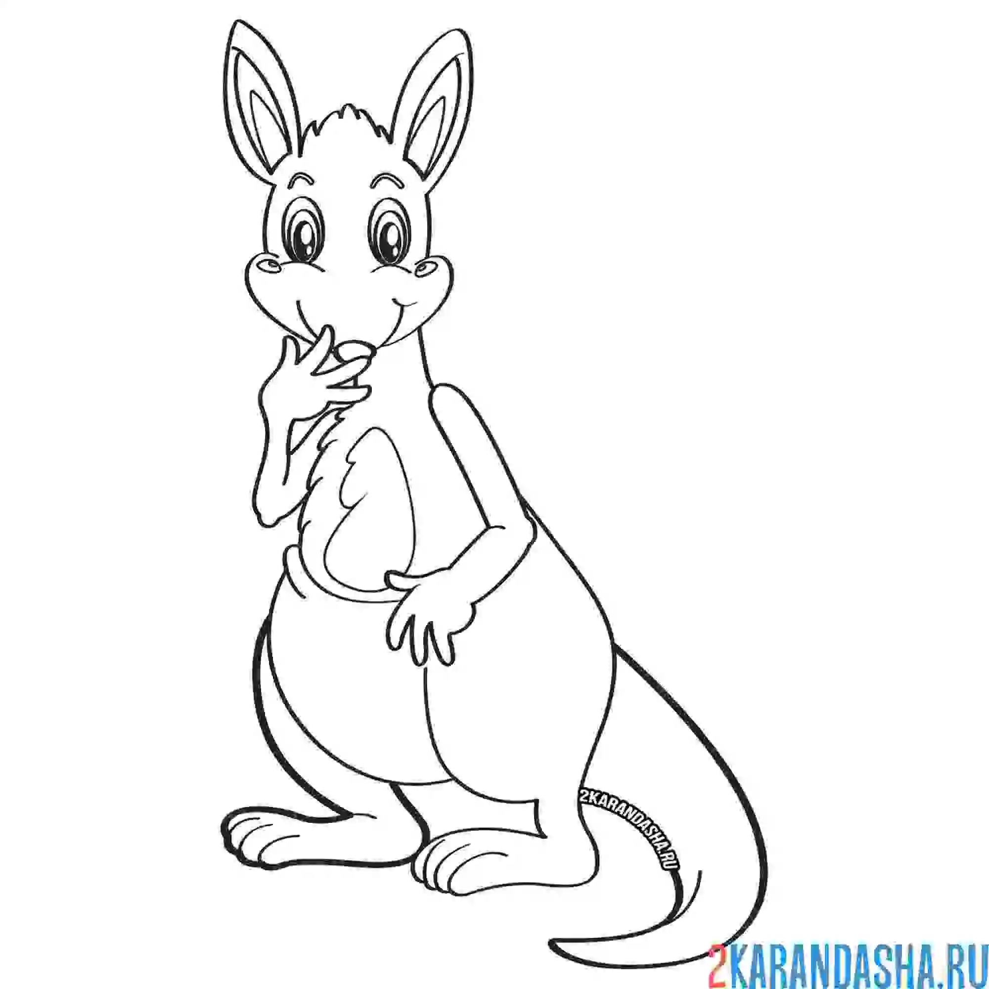 Раскраска кенгуру стоит