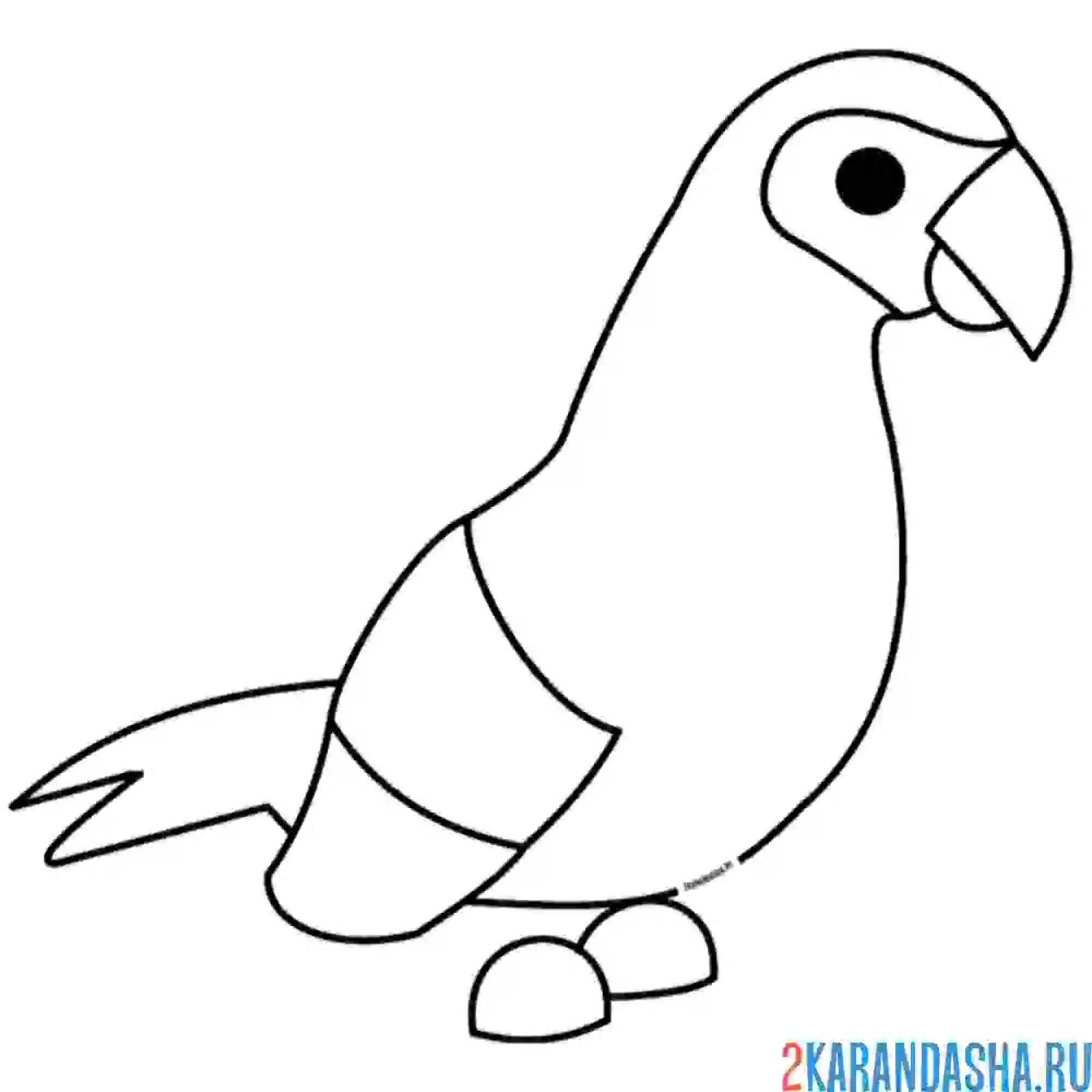 Раскраска адопт ми пет попугай