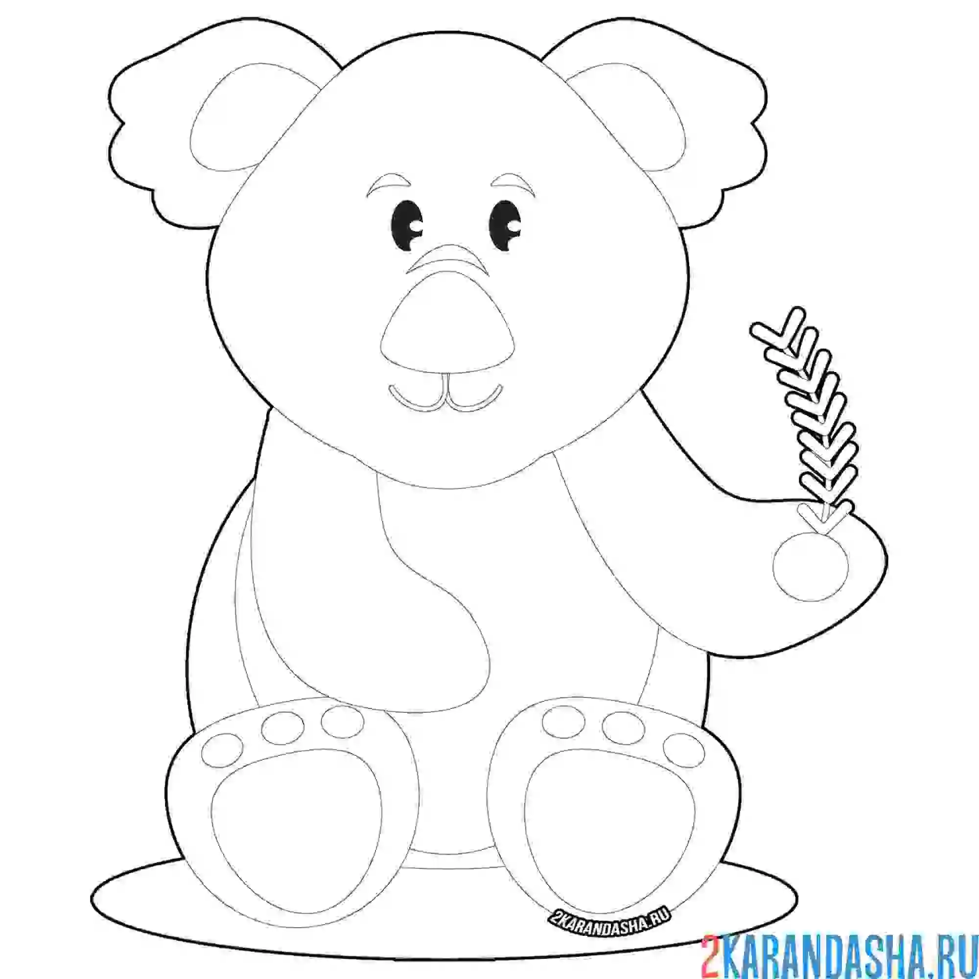 Раскраска коала с веточкой