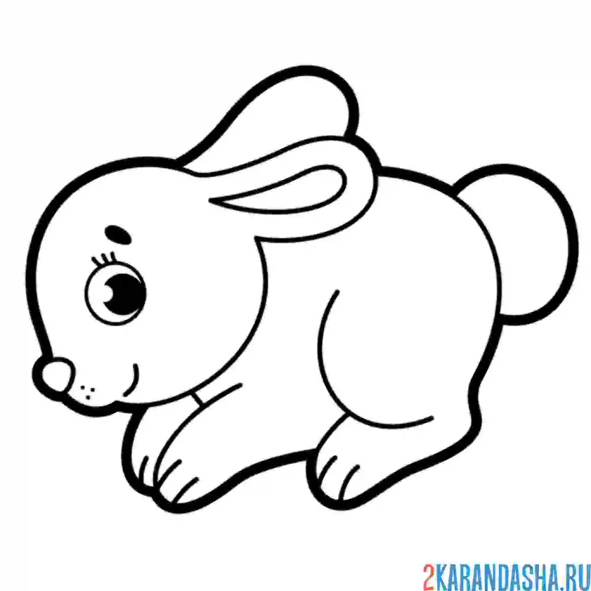 Раскраска милый зайчик с пушистым хвостиком