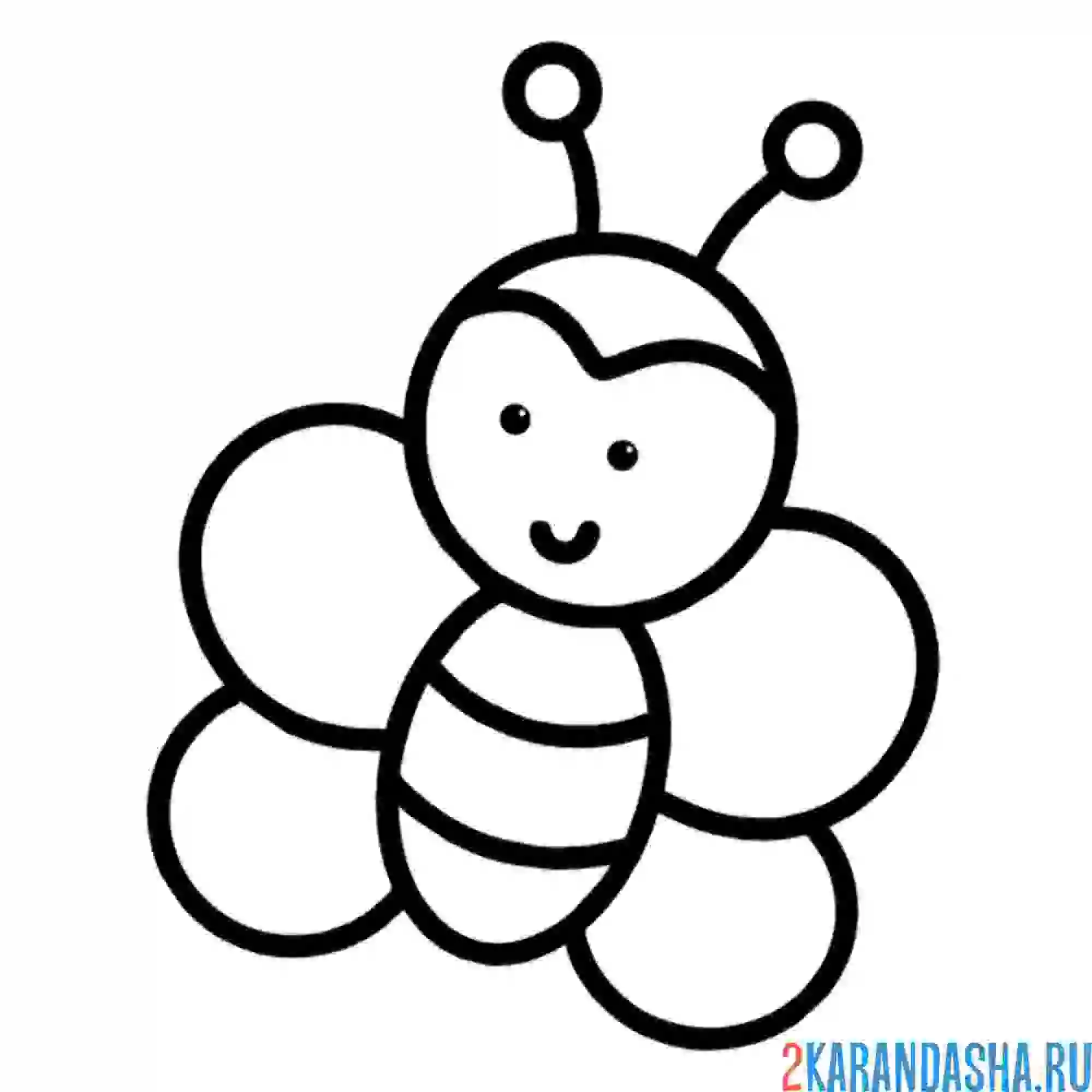 Раскраска простая бабочка для самых маленьких