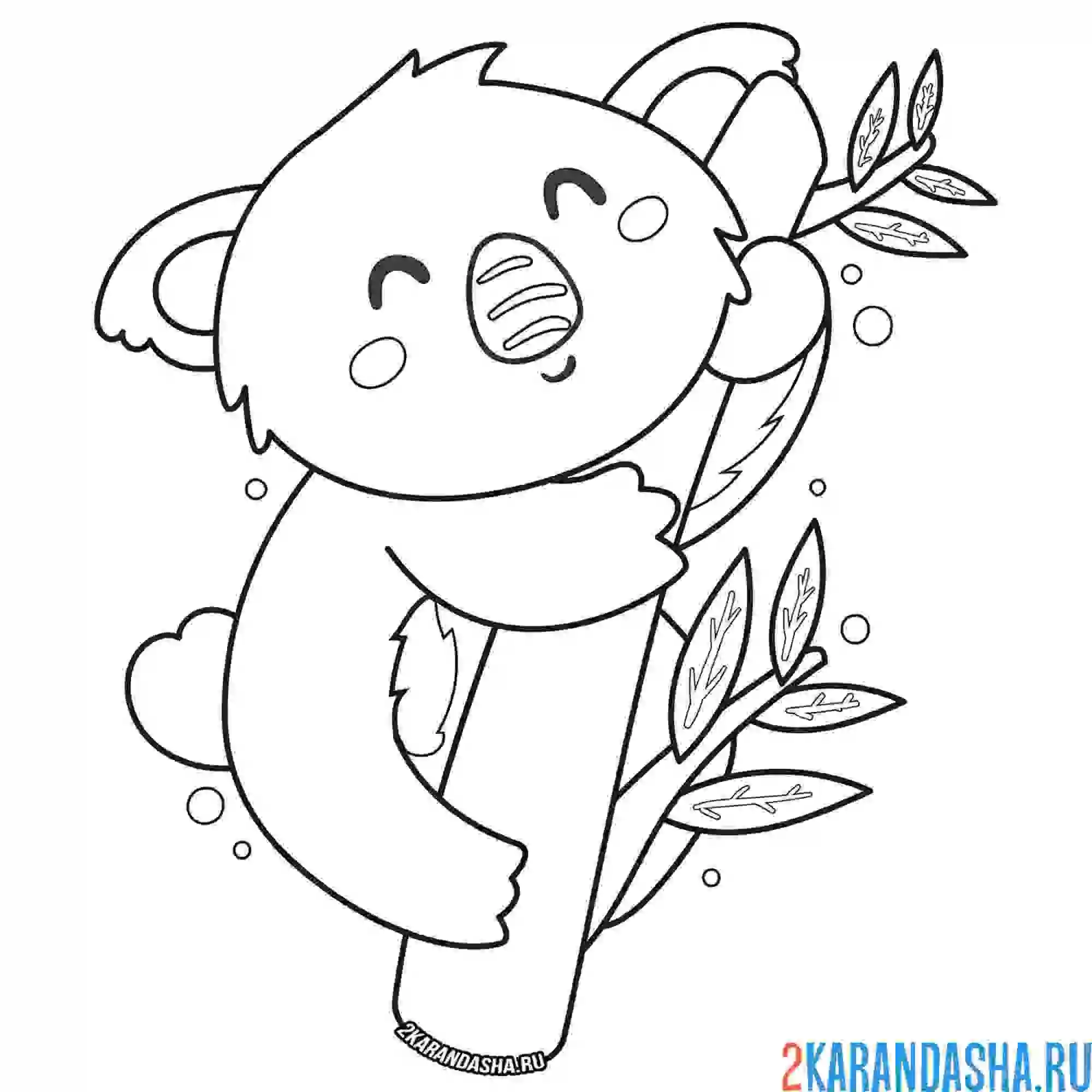 Раскраска милая коала на дереве эвкалипта