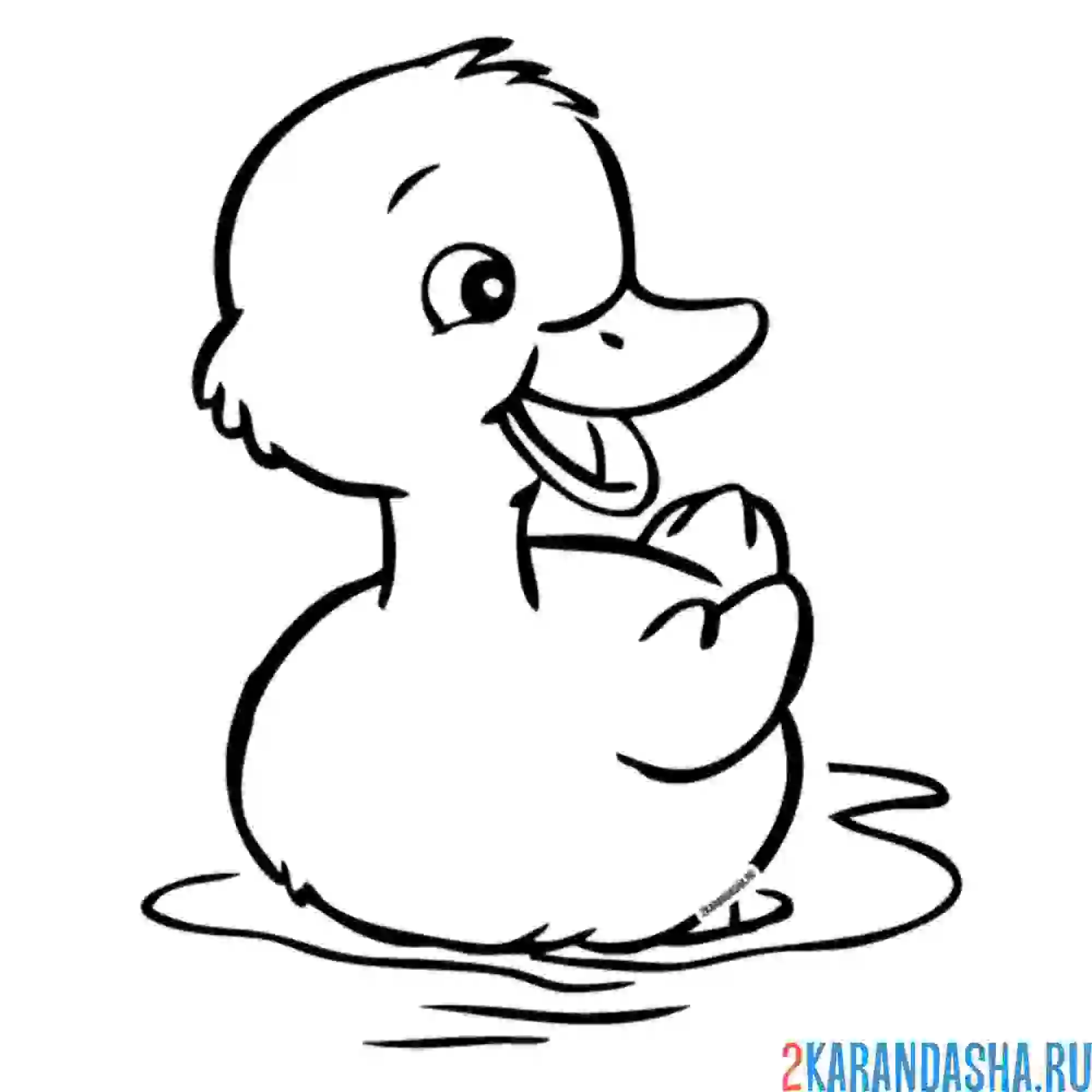 Раскраска милашка утенок