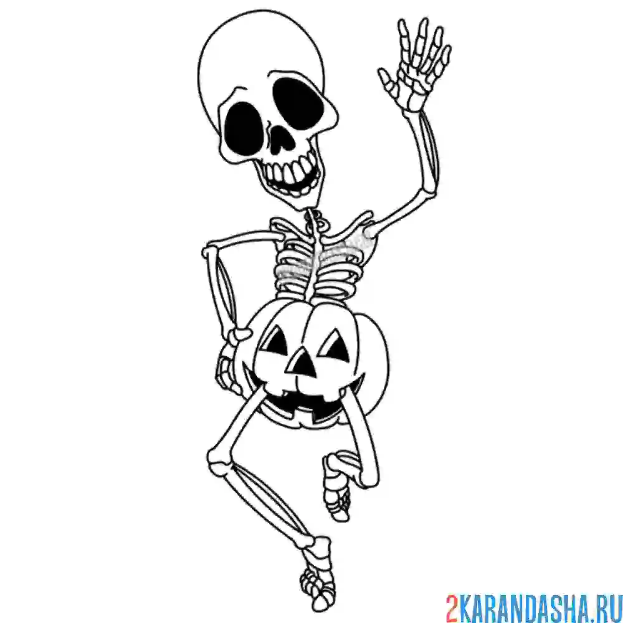 Раскраска скелет и тыква хэллоуин
