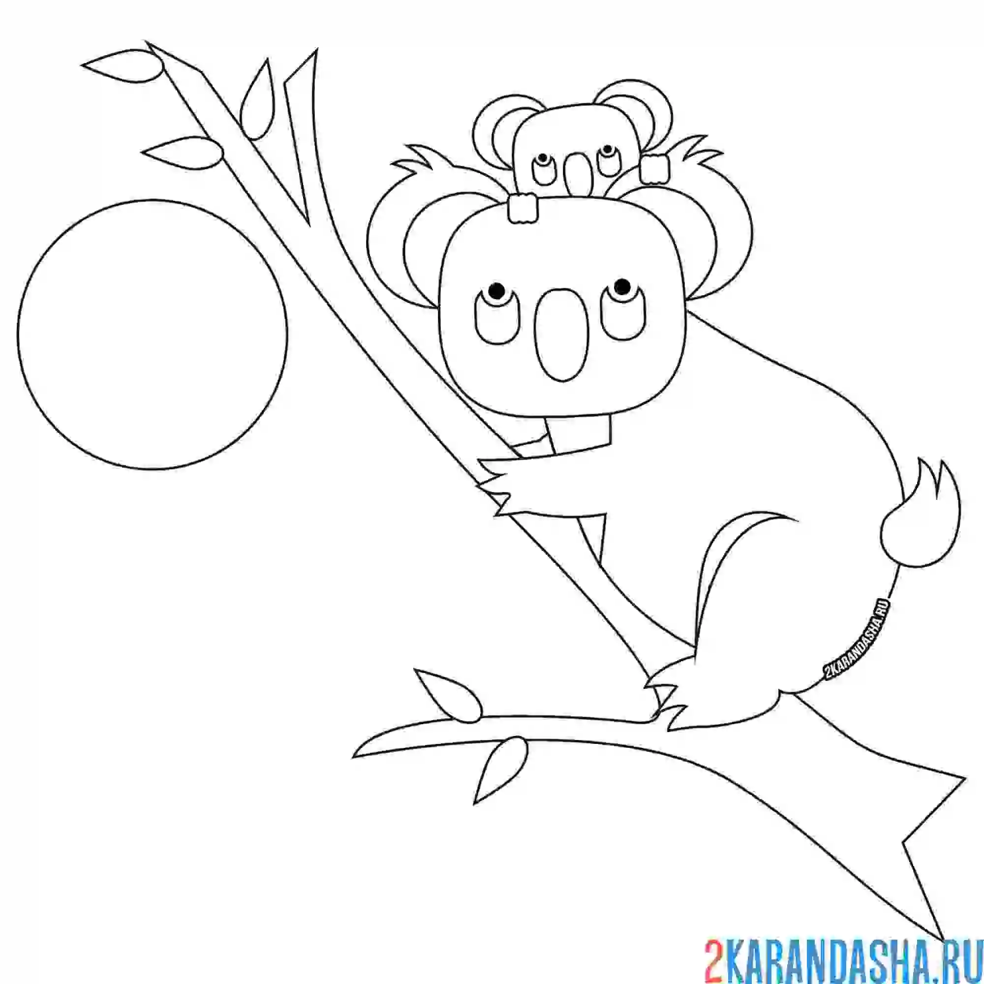 Раскраска коала с малышом на дереве