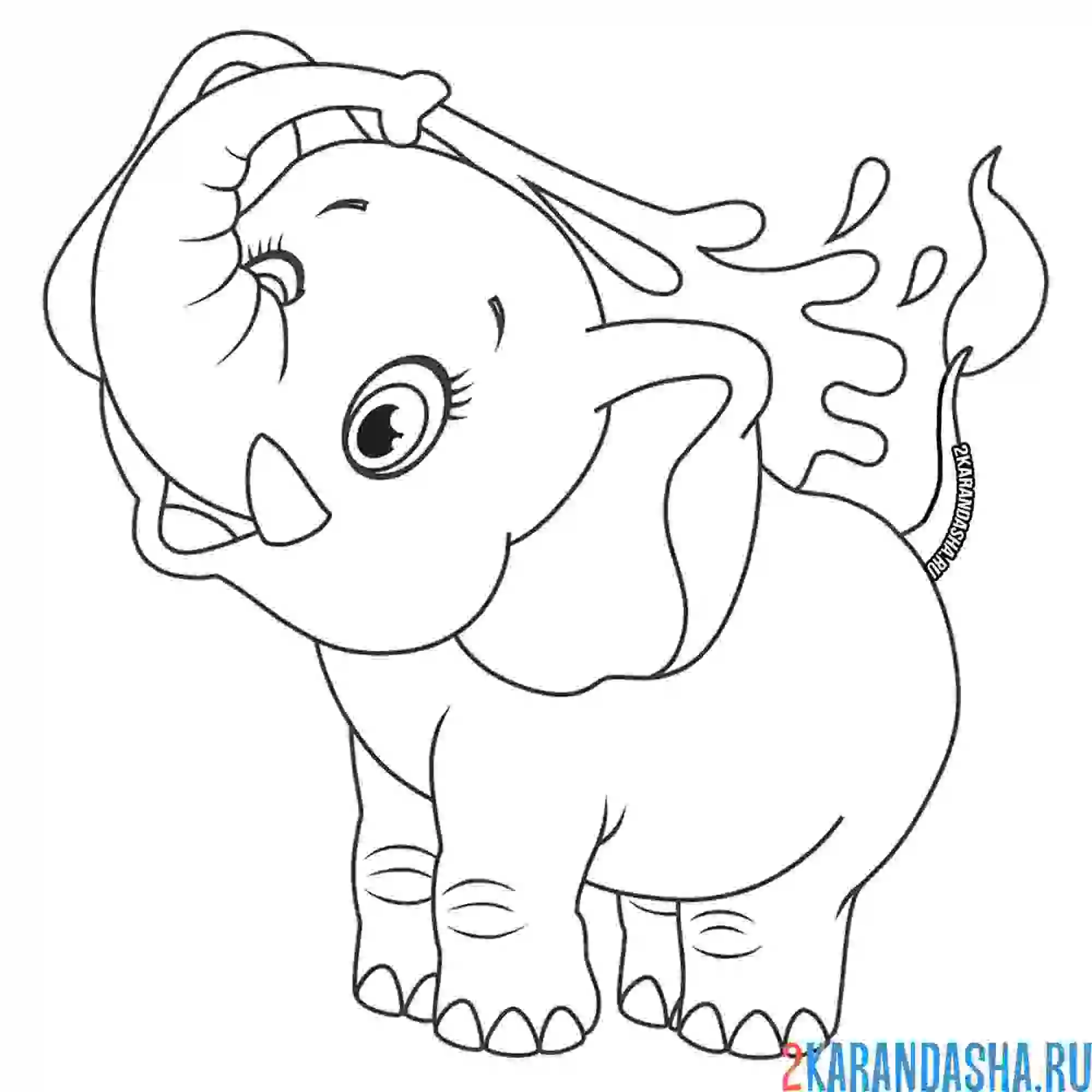 Раскраска слон льет водичуц