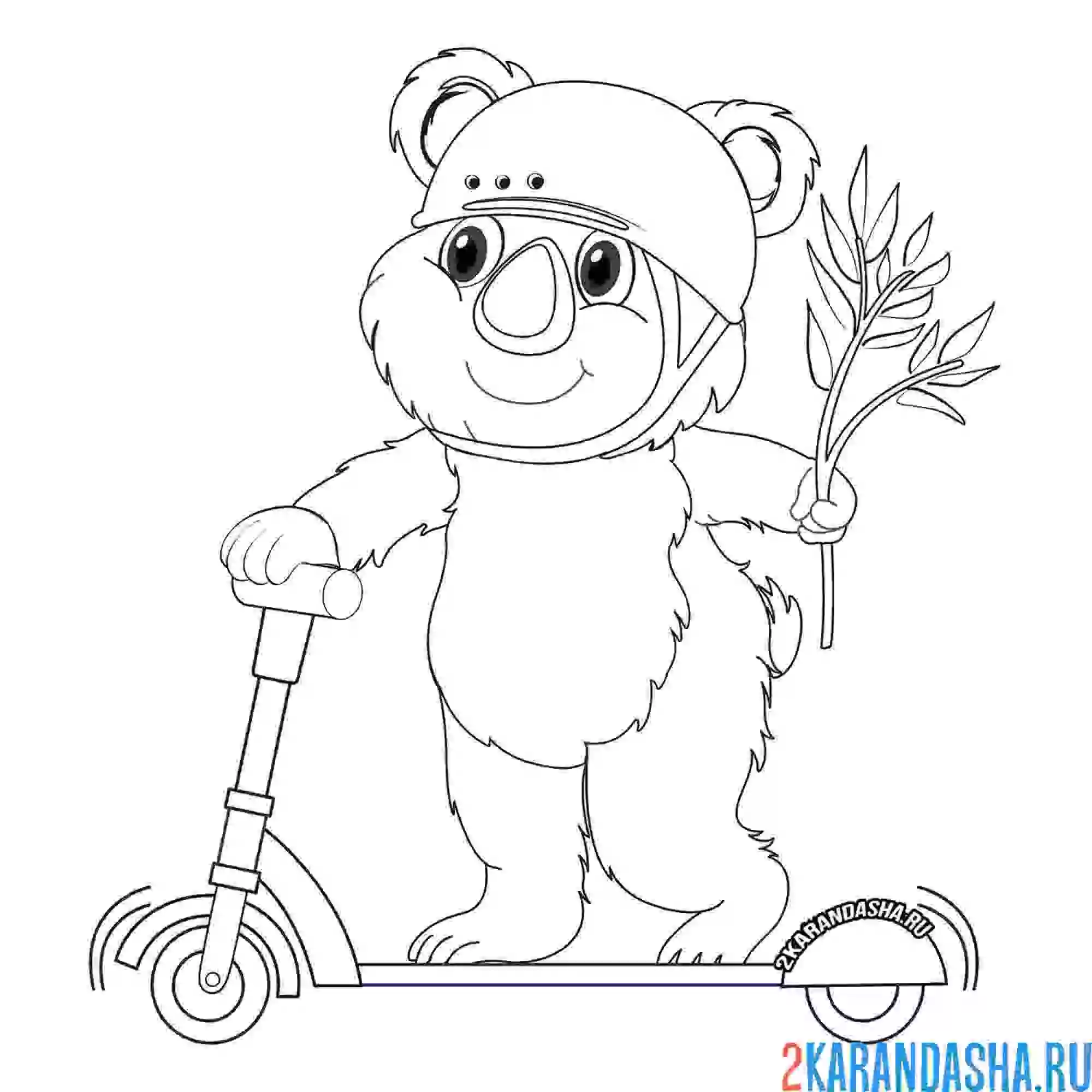 Раскраска коала на самокате