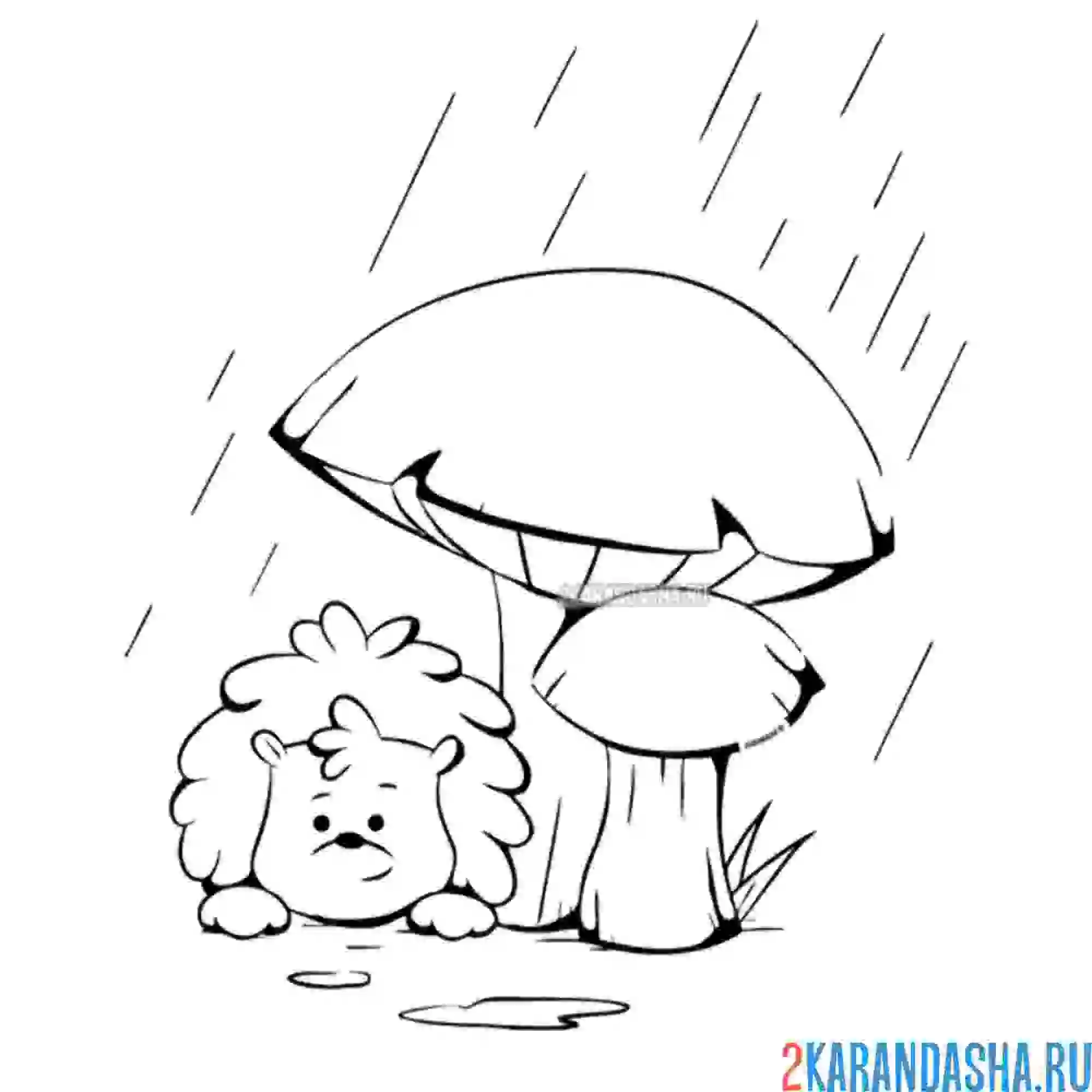 Раскраска ежик спрятался от дождя