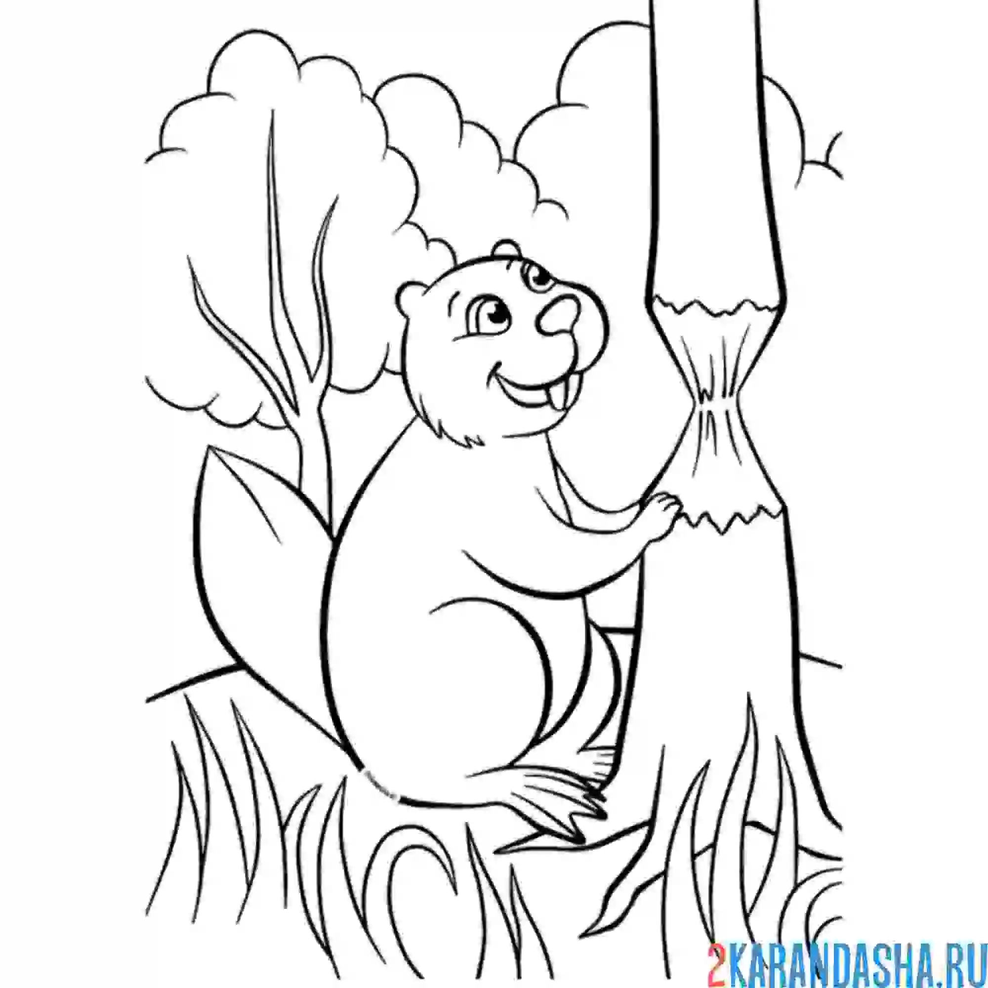 Раскраска бобер и дерево