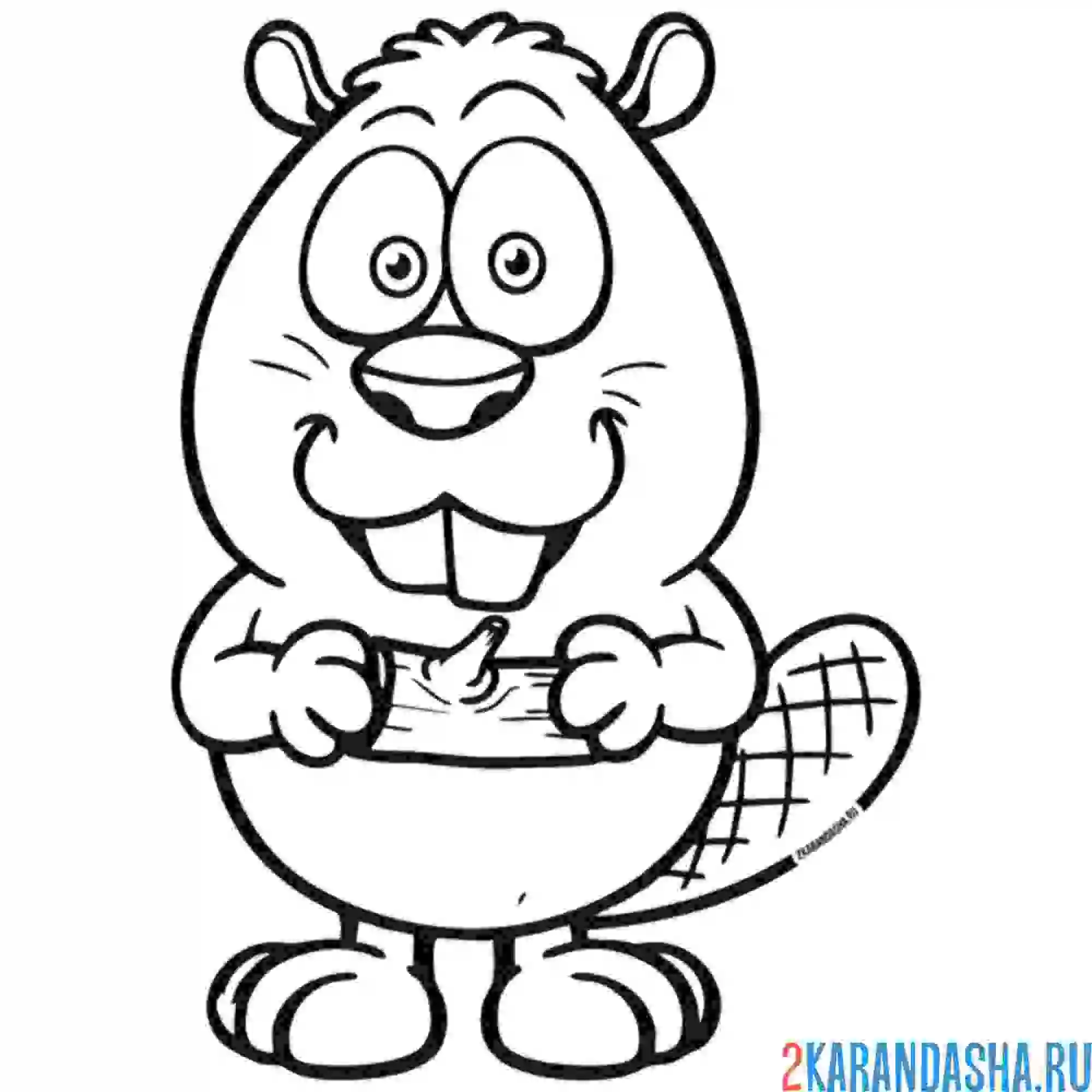 Раскраска забавный бобер