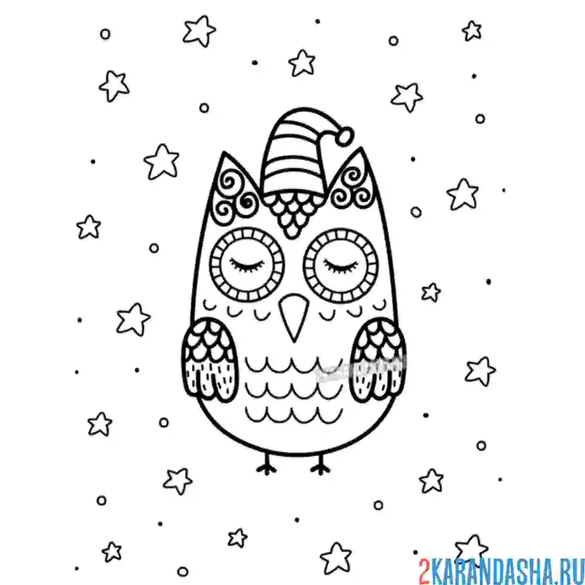Раскраска спящая сова