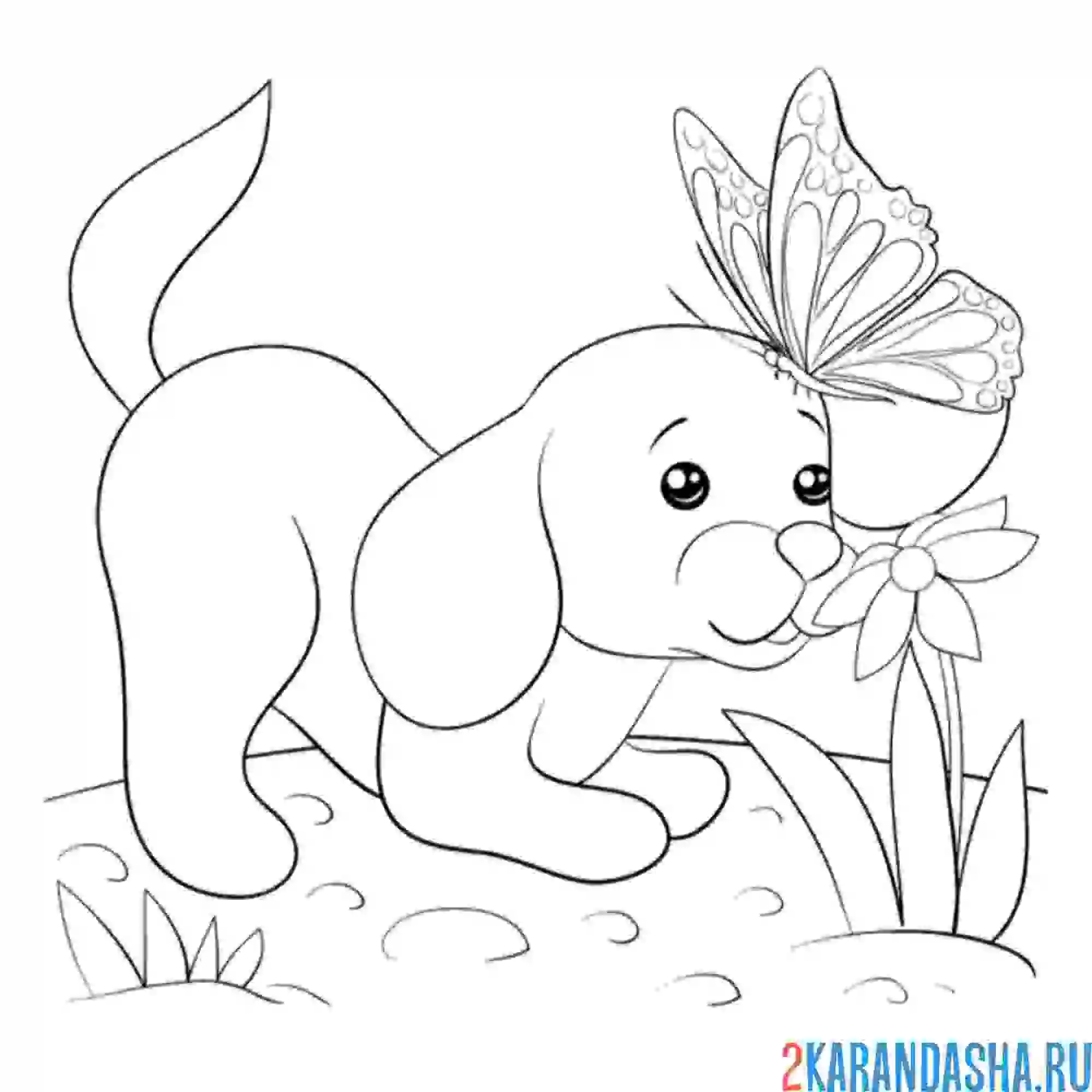 Раскраска собачка играет с бабочкой