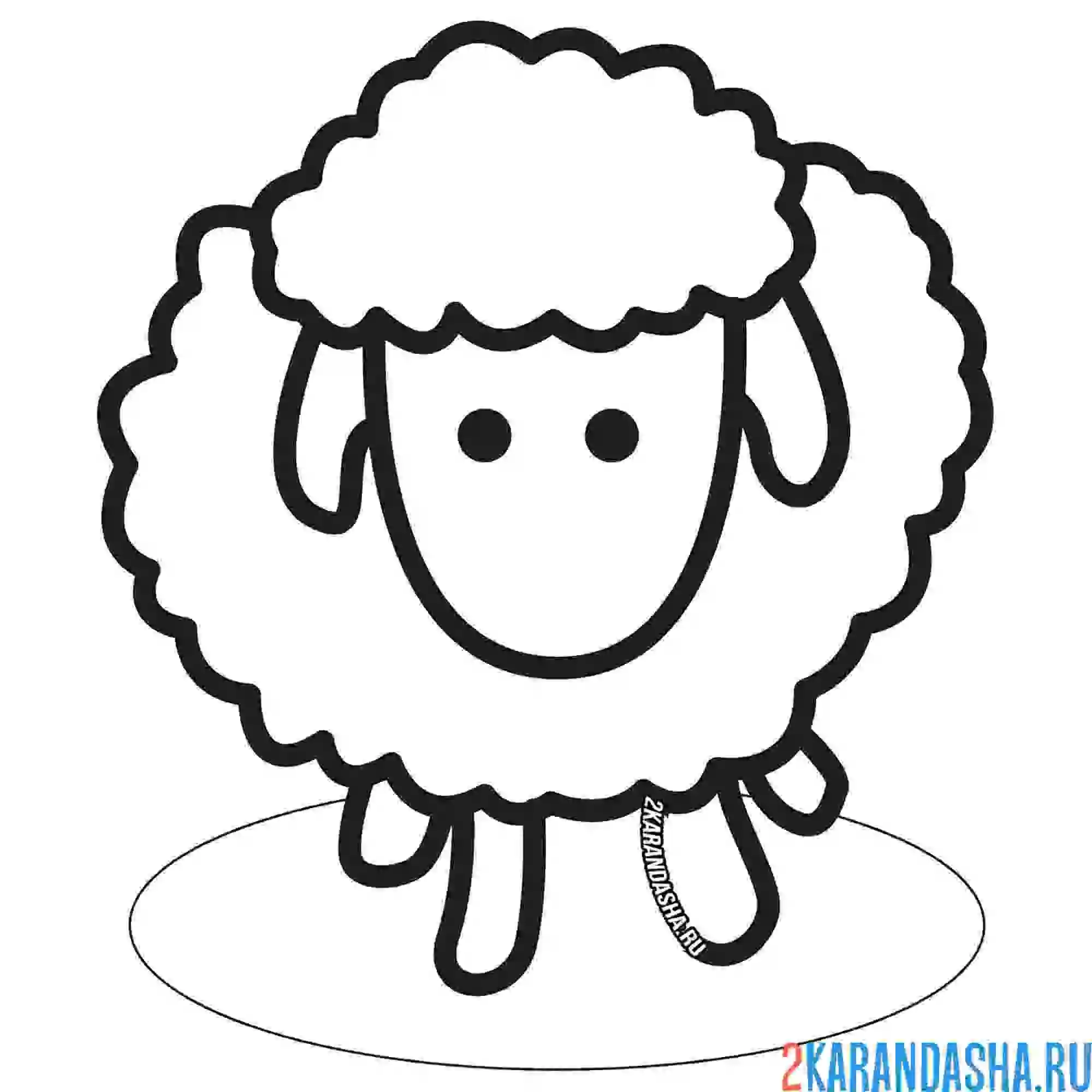 Раскраска овечка