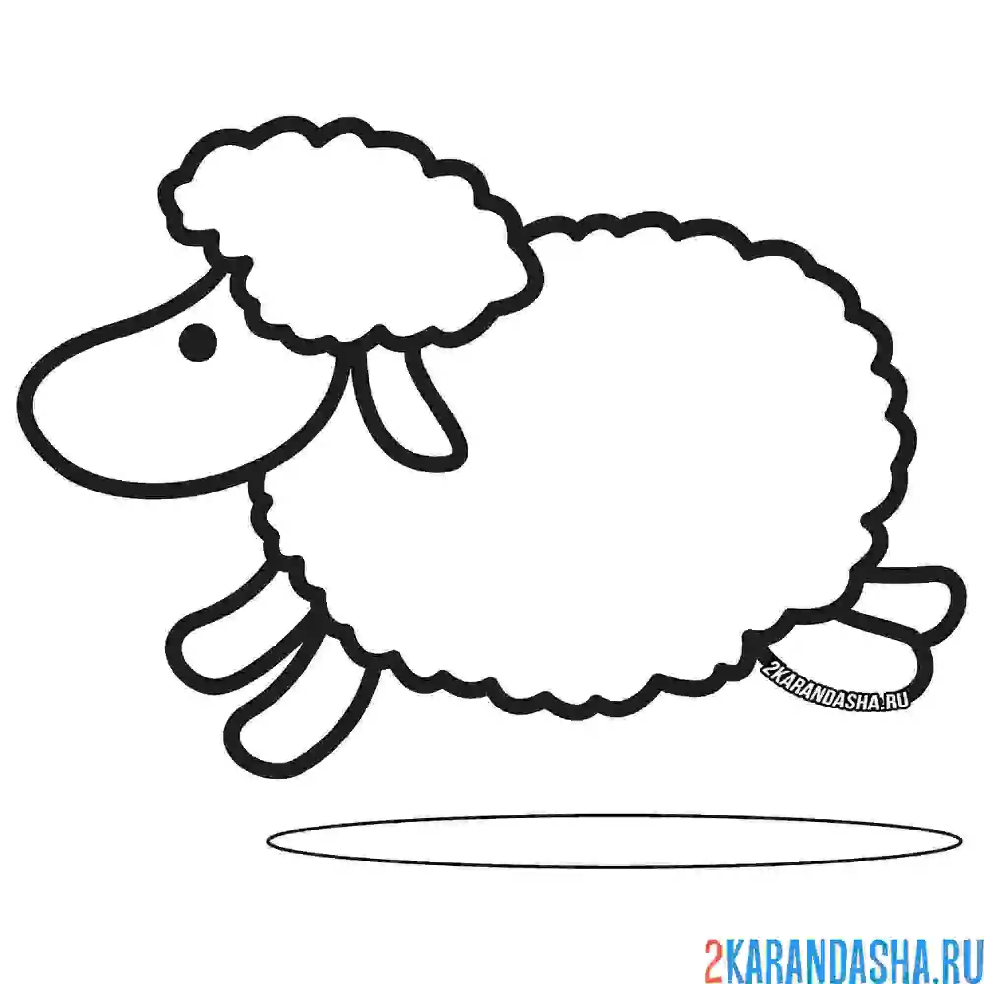 Раскраска бегущая овечка