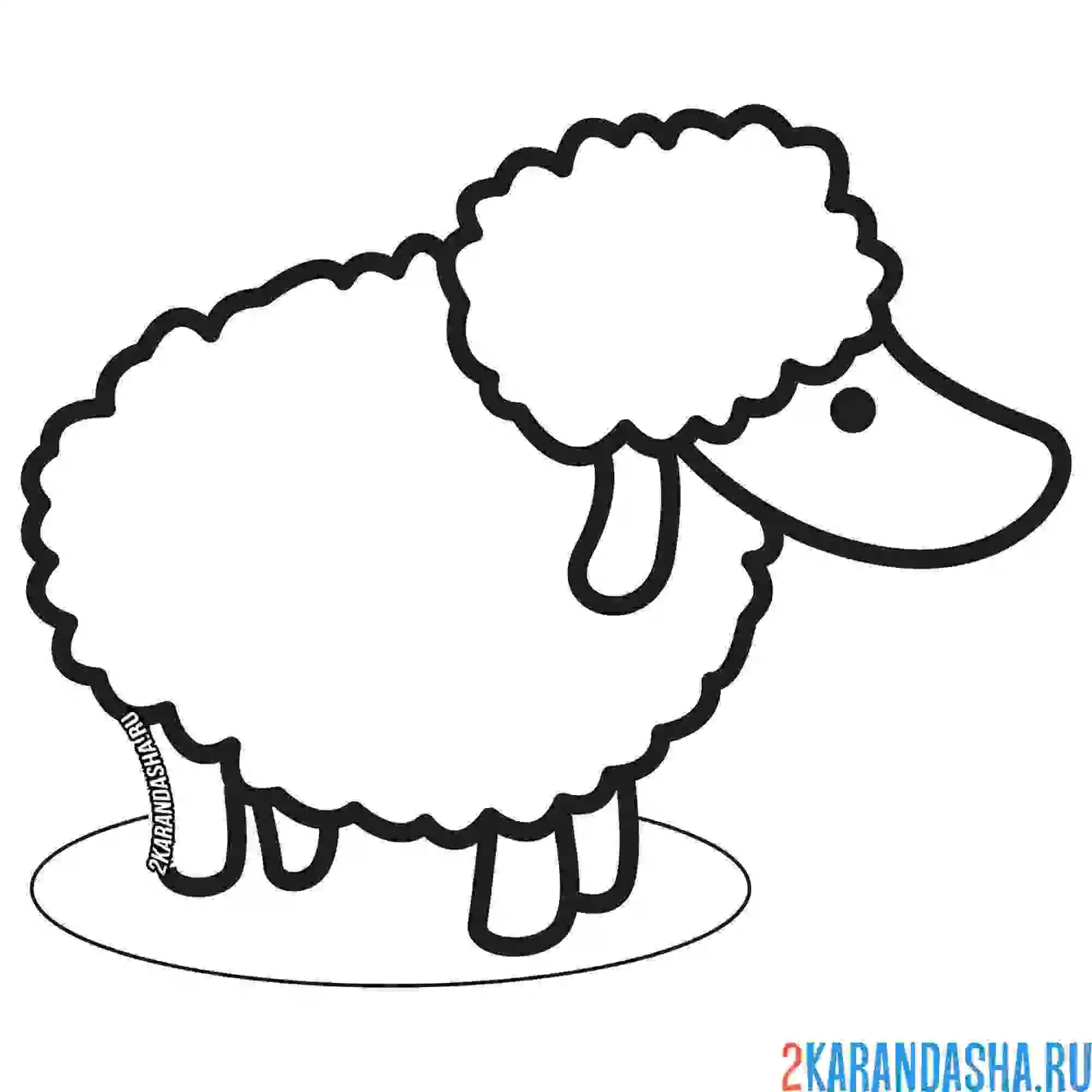 Раскраска профиль овечки