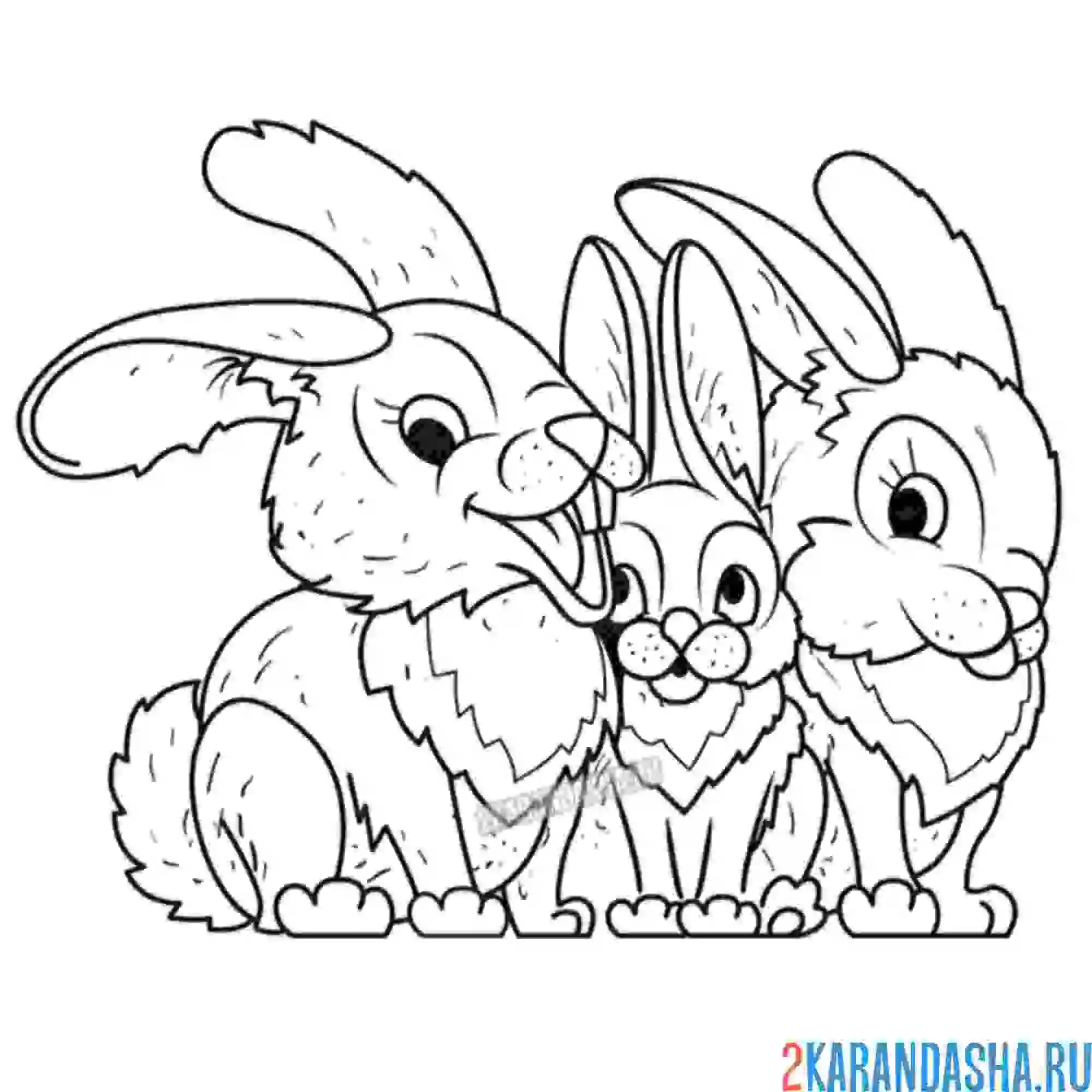 Раскраска семья зайчиков